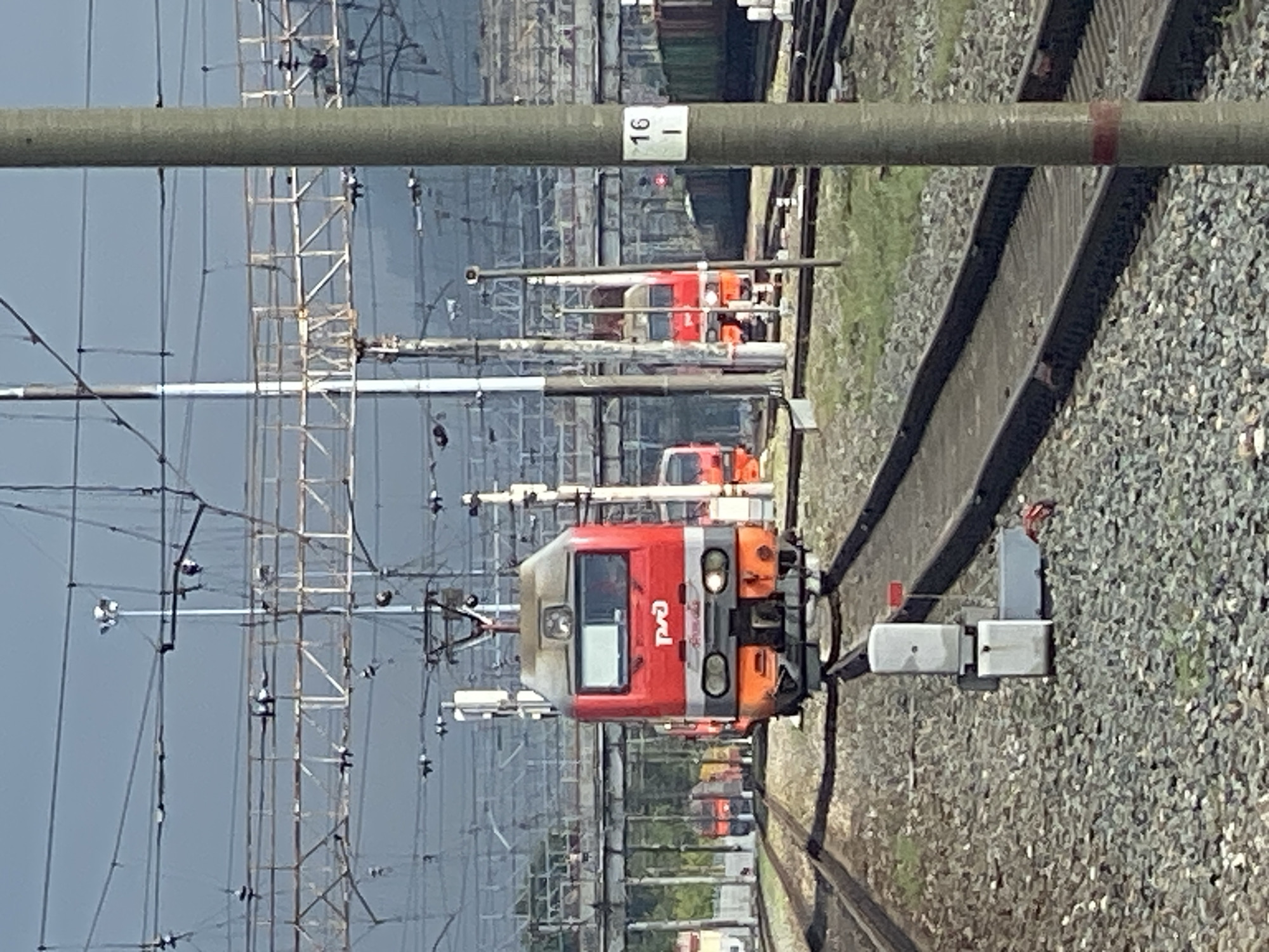 The image depicts a train station environment with multiple trains and railway infrastructure. In the foreground, a red and grey electric locomotive is positioned on the tracks, facing the viewer. The locomotive features the logo "РЖД" (Russian Railways). To the left and right of this main locomotive, other trains are partially visible, some appearing to be of a similar red color. The tracks are laid on ballast, and various electrical overhead wires and supporting structures are prominent throughout the scene, indicating an electrified railway system. In the background, there are more trains, freight cars, and industrial structures that suggest the location is a working railway yard or station. A concrete pole with a white label displaying "16" is visible on the right side of the image, likely indicating a platform or track number. The sky above is overcast, and the overall lighting suggests it is daytime. The image appears to be taken from ground level, looking along the railway tracks. While Novokuznetsk is a city known for its industrial and railway activity, the specific location within Novokuznetsk cannot be determined from the image alone.