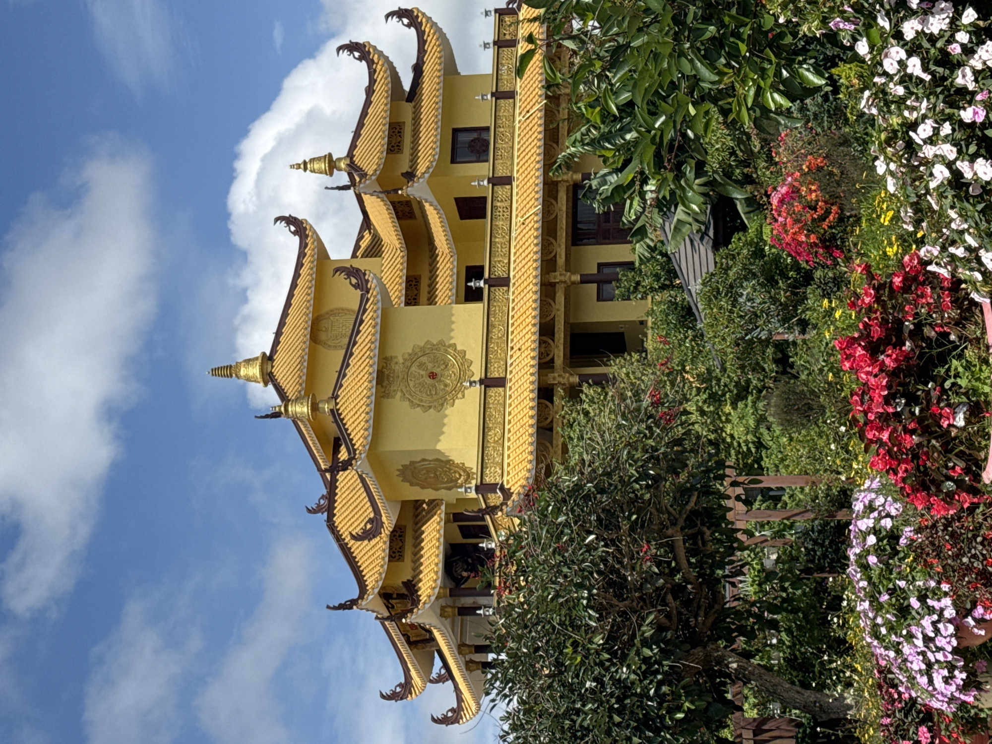A vibrant yellow Buddhist temple with ornate golden roofs and decorative elements stands prominently in the background of this image, set against a bright blue sky with scattered white clouds. Lush greenery, including trees and a dense bed of colorful flowers in shades of pink, red, and white, fills the foreground and midground, partially obscuring the lower levels of the temple. The temple architecture is characterized by multiple tiered roofs with upturned eaves, intricate carvings, and golden spires. The surrounding vegetation suggests a well-maintained garden or park. The overall scene conveys a sense of tranquility and natural beauty. This temple is the Linh Son Truong Tho Pagoda located in Da Lat, Vietnam.