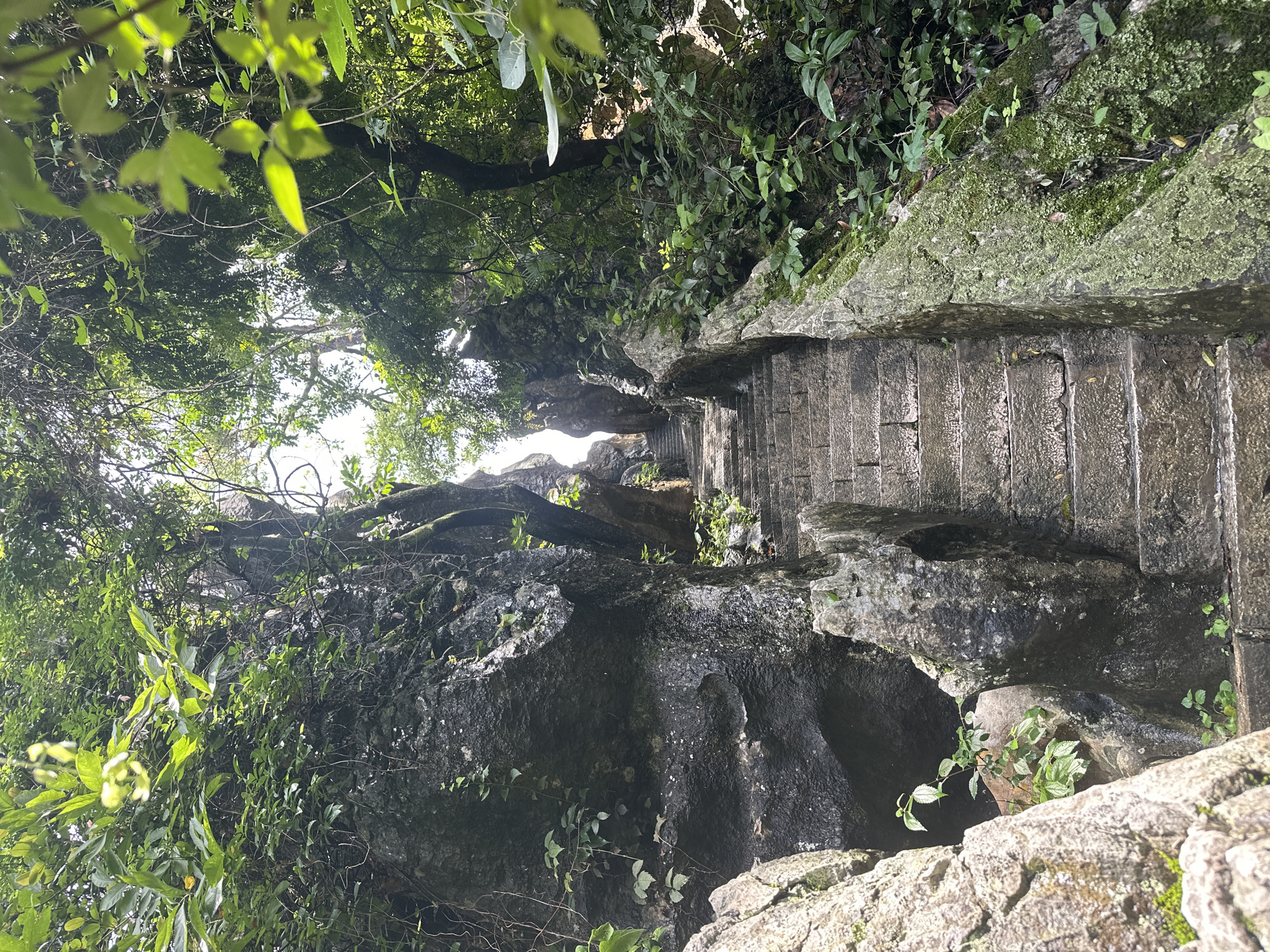 The image depicts a stone staircase ascending through a lush, rocky ravine. The stairs are made of rough-hewn stone blocks, worn with age and partially covered in moss and vegetation. The sides of the ravine are steep and craggy, with large boulders and rock formations covered in dark green foliage, vines, and moss. Sunlight filters down from above, creating dappled patterns on the stairs and rocks. The dense canopy of trees overhead creates a shaded, natural atmosphere. The scene appears to be a pathway within a natural park or mountainous area, likely a tourist attraction given the constructed staircase. This location is identified as the path to the "Dragon Gate" (Longmen) on the Western Hills of Kunming, China. There are no people visible in the image.
