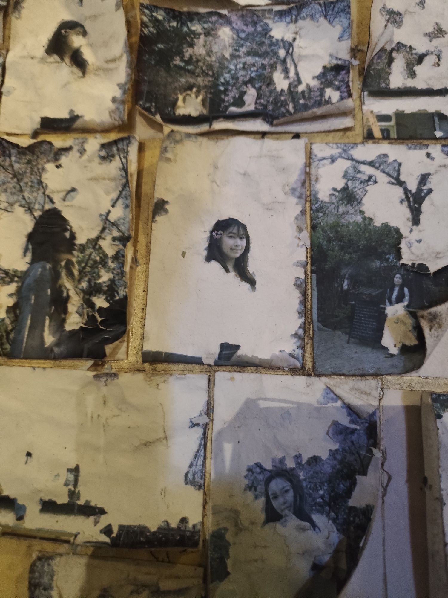 The image shows a collection of faded and damaged photographs mounted on a wall or board. The photographs appear to be portraits and landscape shots. Some photos show people, including a young woman with flowers in her hair and a woman sitting in a garden setting. The images have torn edges and discoloration, suggesting age and deterioration. The mounting surface appears to be beige or tan and segmented into squares or rectangles. The location and city are unspecified.
