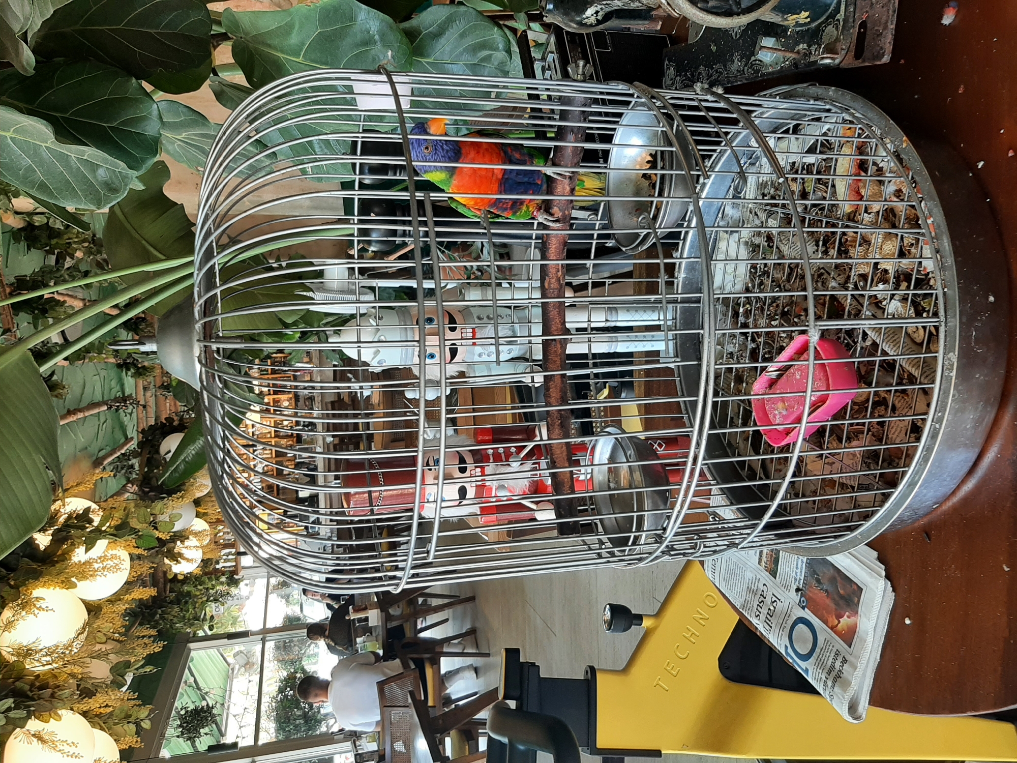 This is a photograph taken at a restaurant in Alanya, Turkey. The foreground is dominated by a large, ornate birdcage, constructed from silver-colored metal bars, containing a colorful bird, likely a rainbow lorikeet, perched on a wooden dowel. Inside the cage, there are two nutcracker figurines, one red and one white, positioned behind the bird. The cage also contains a metallic food or water dish, a pink plastic feeder, and remnants of birdseed on the bottom grate.
To the left of the birdcage, a yellow exercise machine is partially visible, with the word "TECHNO" imprinted on it. A folded newspaper, with "Israel" visible on the front page, lies on a wooden surface next to the machine.
In the background, through a large window, the interior of a restaurant is visible. Several patrons are seated at tables, with one individual wearing a white t-shirt facing away from the camera. The restaurant appears to be decorated with lush greenery and numerous round, glowing light fixtures hanging from the ceiling. The overall ambiance suggests an indoor dining space with a botanical theme, likely in a city like Alanya, Turkey, known for its tourism and restaurants.