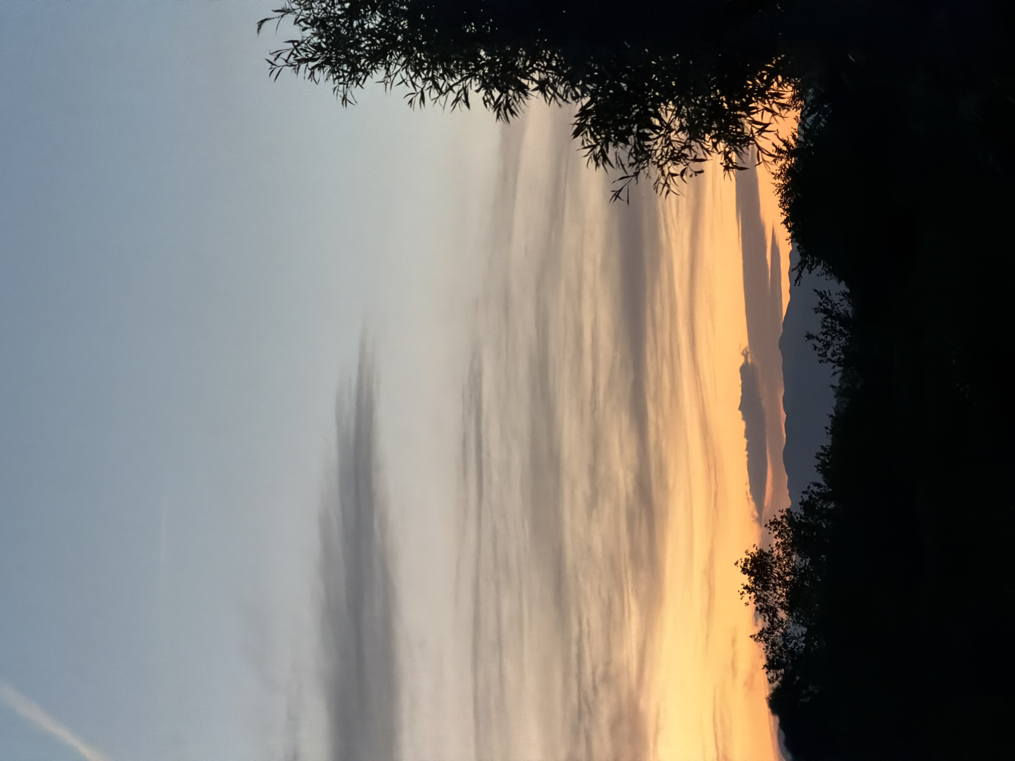 The image shows a sunset view. The sky is predominantly filled with wispy clouds, transitioning from a pale blue on the left to a warmer, orange hue on the right. Silhouetted tree branches frame the top and right edges of the image. In the distance, dark silhouettes of mountains or hills are visible, partially obscured by the trees. The perspective is upward, capturing the vast expanse of the sky. This image has no specific information to support the city of Lastva Grbaljska, Montenegro.