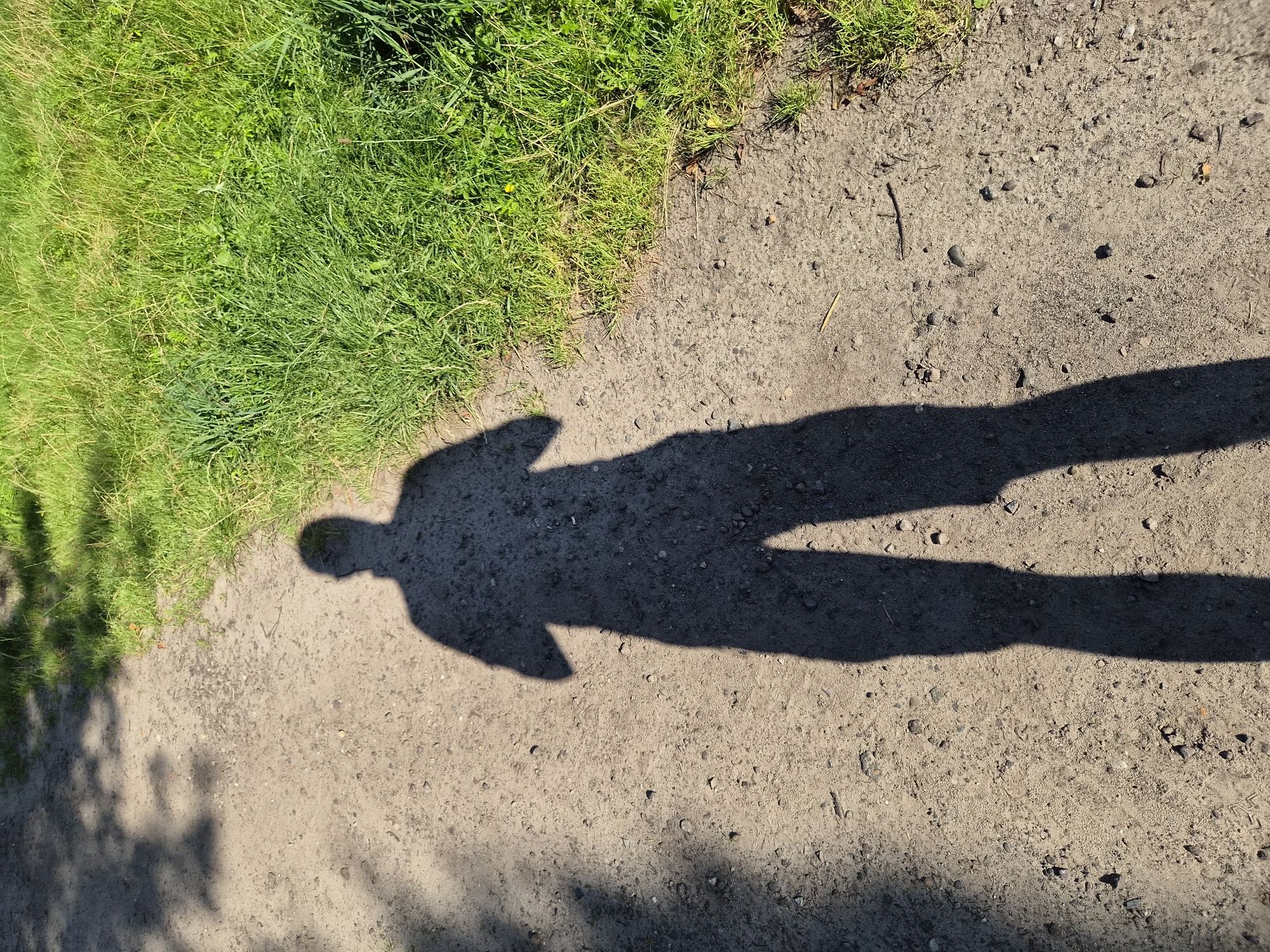 This media file captures a scene with a person's shadow cast on a dirt path next to a grassy area. The shadow, elongated and dark, suggests it's a sunny day. The ground is composed of light-colored dirt with small stones and pebbles scattered across its surface. To the left of the path, a patch of vibrant green grass, some of which appears a lighter, sun-bleached yellow, indicates a natural outdoor environment. The grass is dense and appears to be growing on slightly higher ground than the path.
The shadow itself depicts a human form, with a distinct head, torso, and limbs. The arms appear to be extended, possibly suggesting the person is walking or standing in a relaxed posture. The angle of the shadow implies the sun is relatively low in the sky, likely either morning or late afternoon. The overall impression is a peaceful, everyday moment outdoors. There are no visible objects or text within the frame, and the context of Schiffdorf, Germany, places this scene in a rural or semi-rural setting within that region. The lighting and the clear shadow suggest fair weather conditions.