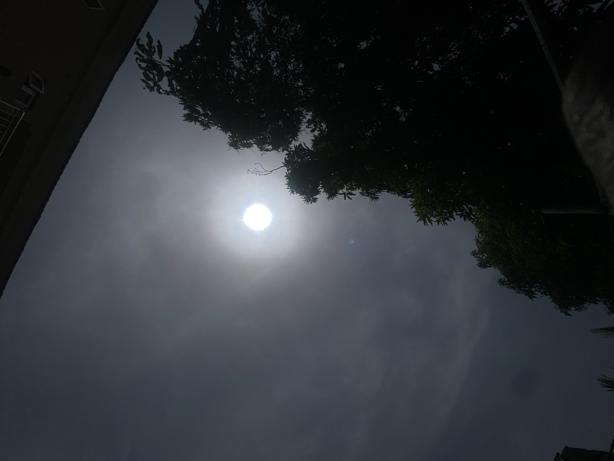 The media file presents an outdoor scene captured from a low-angle perspective, looking upwards towards the sky. The central subject is the sun, appearing as an intensely bright, white circular light source, surrounded by a diffuse halo of scattered light, indicating atmospheric haze or light cloud cover. The sky is a muted grey-blue, brightening significantly around the sun.
On the left side of the frame, the top portion of a building is visible, rendered in deep silhouette against the bright sky. Architectural details such as a roofline, dark window outlines, and a metal railing are discernible. On the right side, dense foliage from one or more large trees fills a substantial part of the image, also heavily silhouetted and appearing very dark green or black. A few distinct branches extend from the main canopy. On the far right edge of the image, a heavily underexposed, indistinct dark shape is visible, possibly part of a person or an object very close to the camera.
The scene depicts daytime conditions with atmospheric scattering of sunlight. The setting combines natural elements (trees) with man-made structures (building). The location context is Barden Yana, Nigeria. No visible text is present in the image.