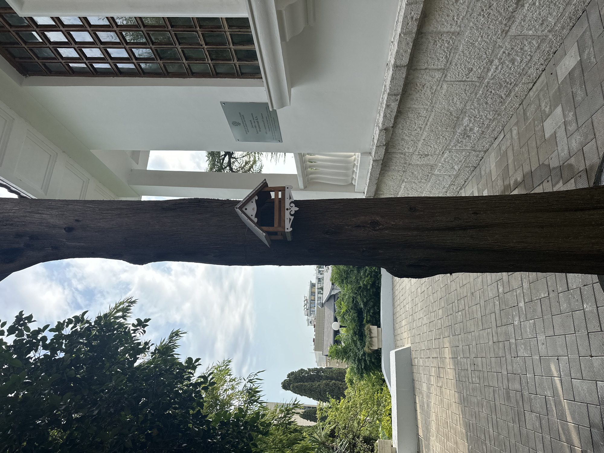 The image depicts an outdoor scene in Sochi, Russia, focusing on a large tree trunk with a small, decorative wooden birdhouse attached. To the right of the tree, a white building with classical architectural elements is visible. This building features a large, multi-paned window with a dark wooden frame and a light stone foundation. A plaque is affixed to the white wall of the building. The foreground shows a paved walkway made of square gray tiles. Lush green foliage and trees are present on the left and in the background, with a view of other buildings and the sky with clouds. The scene appears to be a public space, possibly a park or the grounds of an institution, given the presence of the building and the plaque.