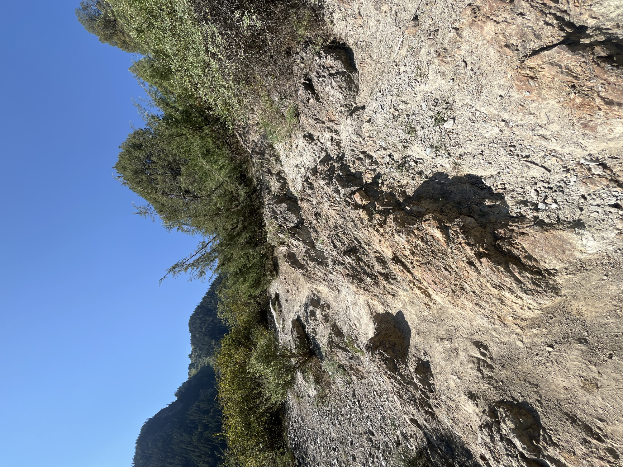The image shows a rocky, dusty hiking trail winding up a steep, sun-drenched mountainside in Karagai Bulak, Kyrgyzstan. The path is narrow and uneven, with loose gravel and larger rocks scattered throughout. The vegetation consists of scrubby bushes and sparse green grasses clinging to the rocky terrain. In the background, the slopes are covered in dark green coniferous trees, with a lighter green patch visible on the far left, possibly a clearing or a ski run. The sky is a clear, bright blue. The scene is devoid of any people or man-made objects, conveying a sense of natural wilderness.