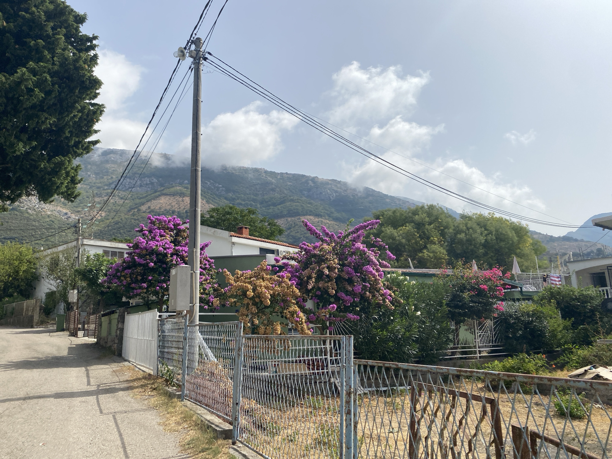 The image depicts a street scene in Sutomore, Montenegro, with a paved road curving to the left. On the right side of the road, a metal fence encloses a property with lush vegetation, including vibrant pink and yellow flowering bushes. A white metal gate is visible within this fence. Behind the gate, houses with light-colored walls and green roofs are partially obscured by trees. A utility pole with numerous wires stands prominently near the road. In the background, a mountain range is visible, partially covered by clouds. The sky is bright with scattered clouds. The overall impression is a residential area in a hilly coastal town.