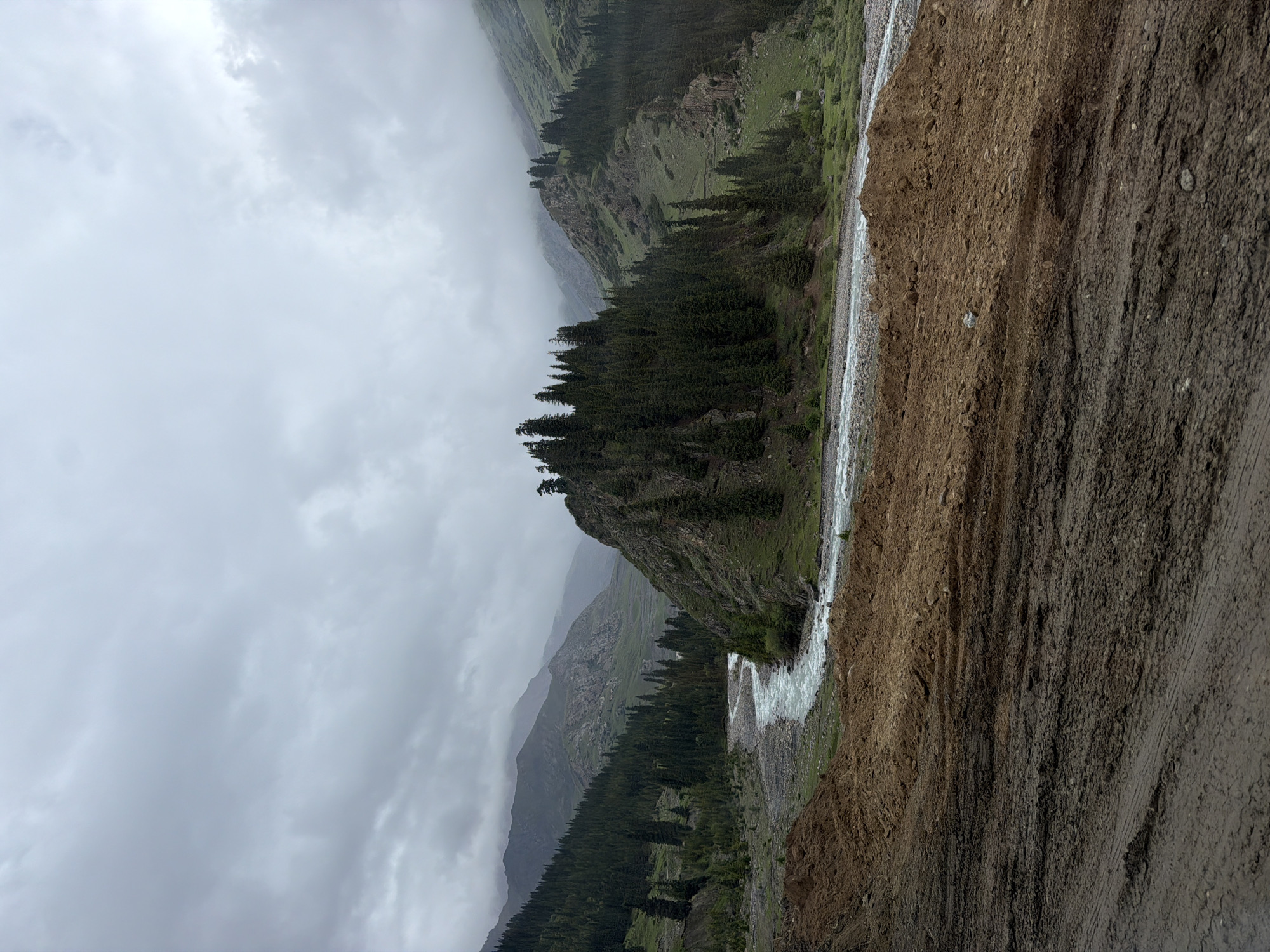 The image depicts a mountainous landscape under a cloudy sky. The scene is dominated by steep, green hillsides covered in a dense forest of dark green coniferous trees. A turbulent, white-water river flows through a valley, its banks appearing rocky and partially eroded. In the foreground, a steep, muddy embankment, possibly a landslide or road cut, occupies the right side of the frame. The sky is overcast with heavy gray clouds, suggesting a cool or potentially rainy day. The lighting is diffused, casting no harsh shadows. The perspective is from a high vantage point, looking down into the valley and across to the opposite slopes. The overall mood is rugged and natural, emphasizing the raw beauty of the mountain environment. There is no visible text or human activity.