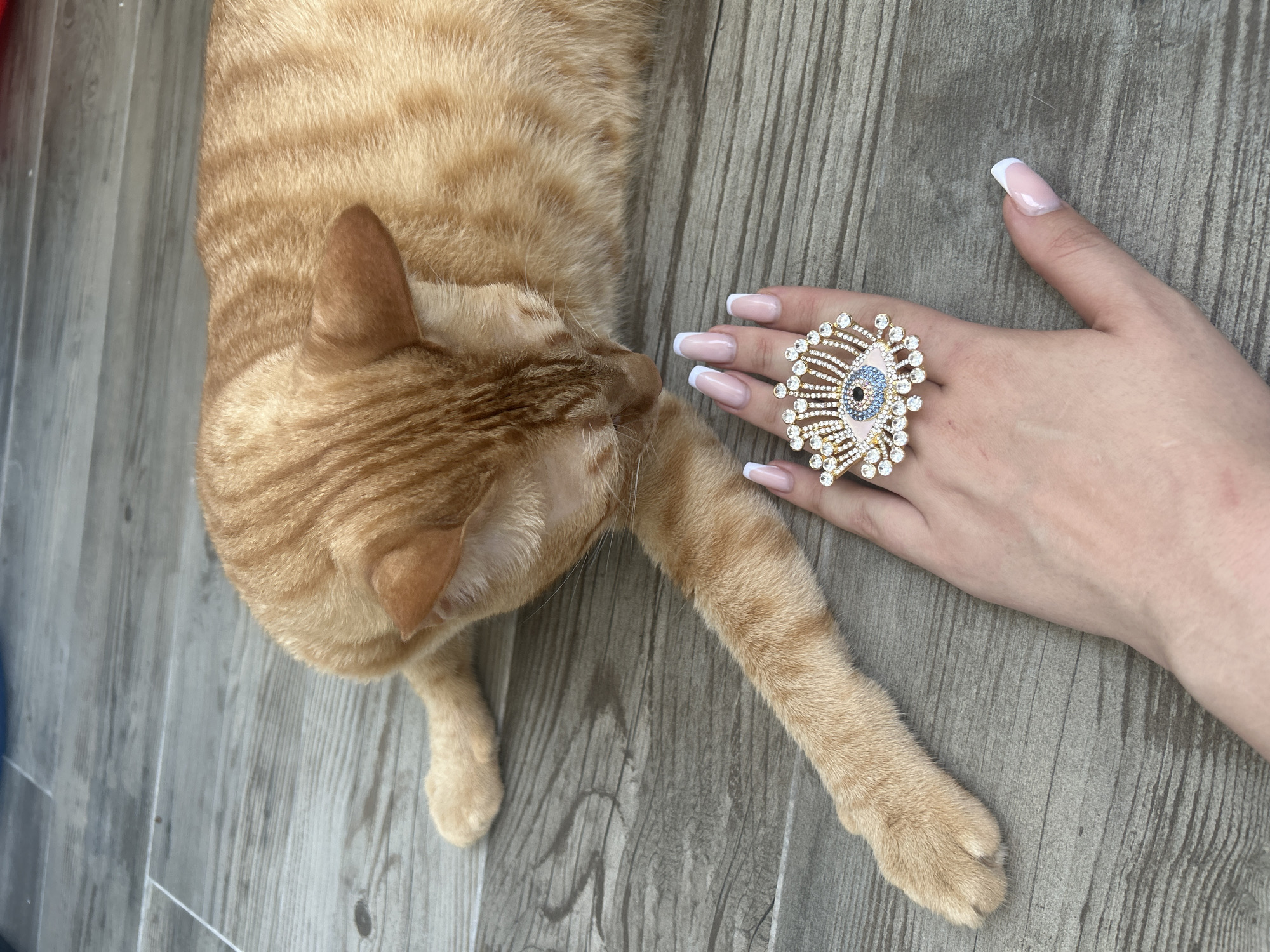 An orange tabby cat is lying on a wooden floor, with its body extended horizontally and its head lowered, appearing to sniff at a hand with a large, elaborate evil eye ring. The cat's fur is striped orange and lighter tan. The hand is positioned to the left of the cat, with fingernails painted in a French manicure style. The ring on the hand features a detailed evil eye design, with blue and white stones. The floor is made of wooden planks with a visible wood grain.
