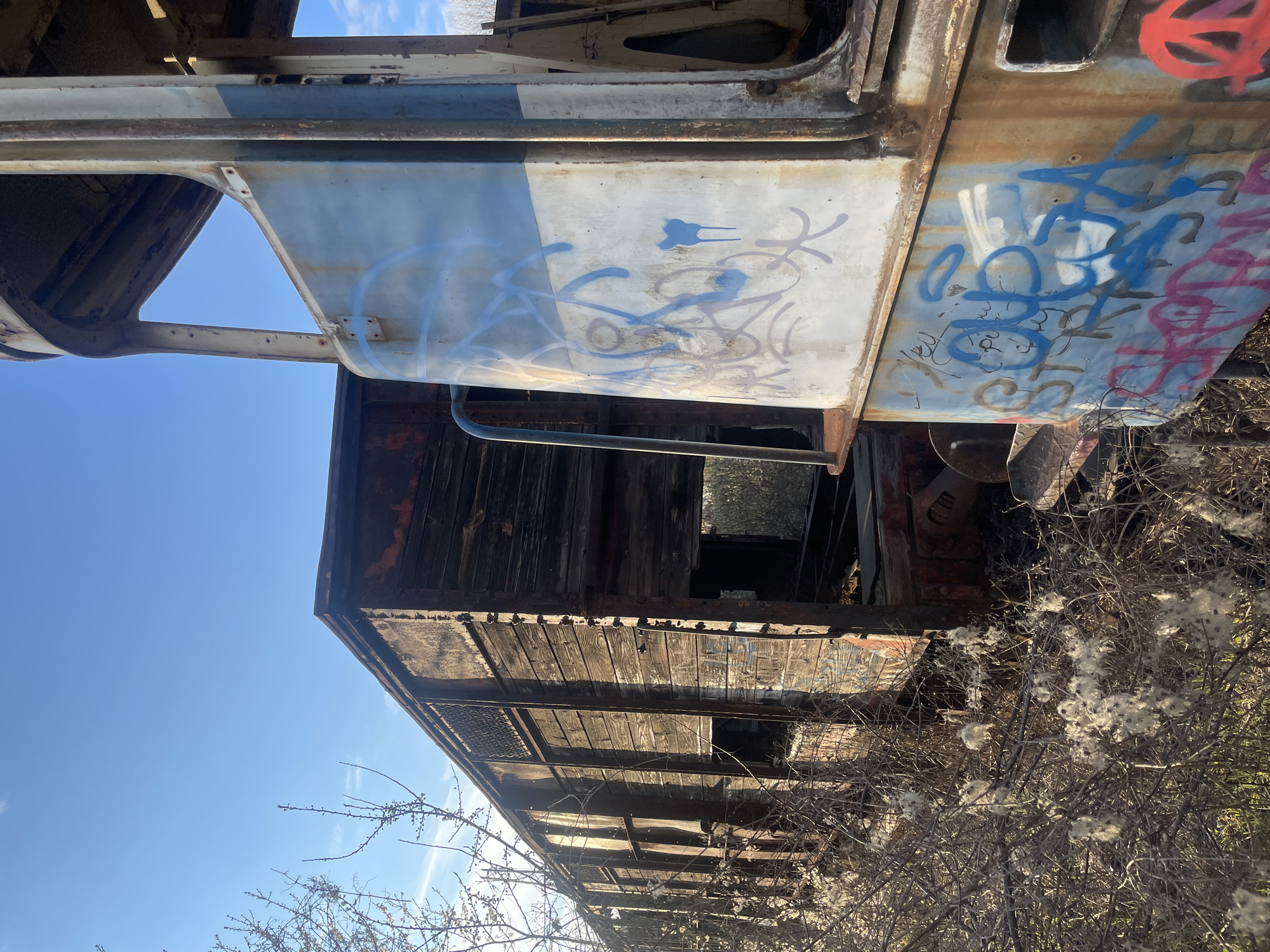 An abandoned train car, heavily weathered and covered in graffiti, stands in an overgrown area. The train car's exterior shows signs of rust and decay. The surrounding vegetation is dry, with withered branches and seed-bearing plants. A clear blue sky is visible. The image does not indicate the city of Sofia, Bulgaria.