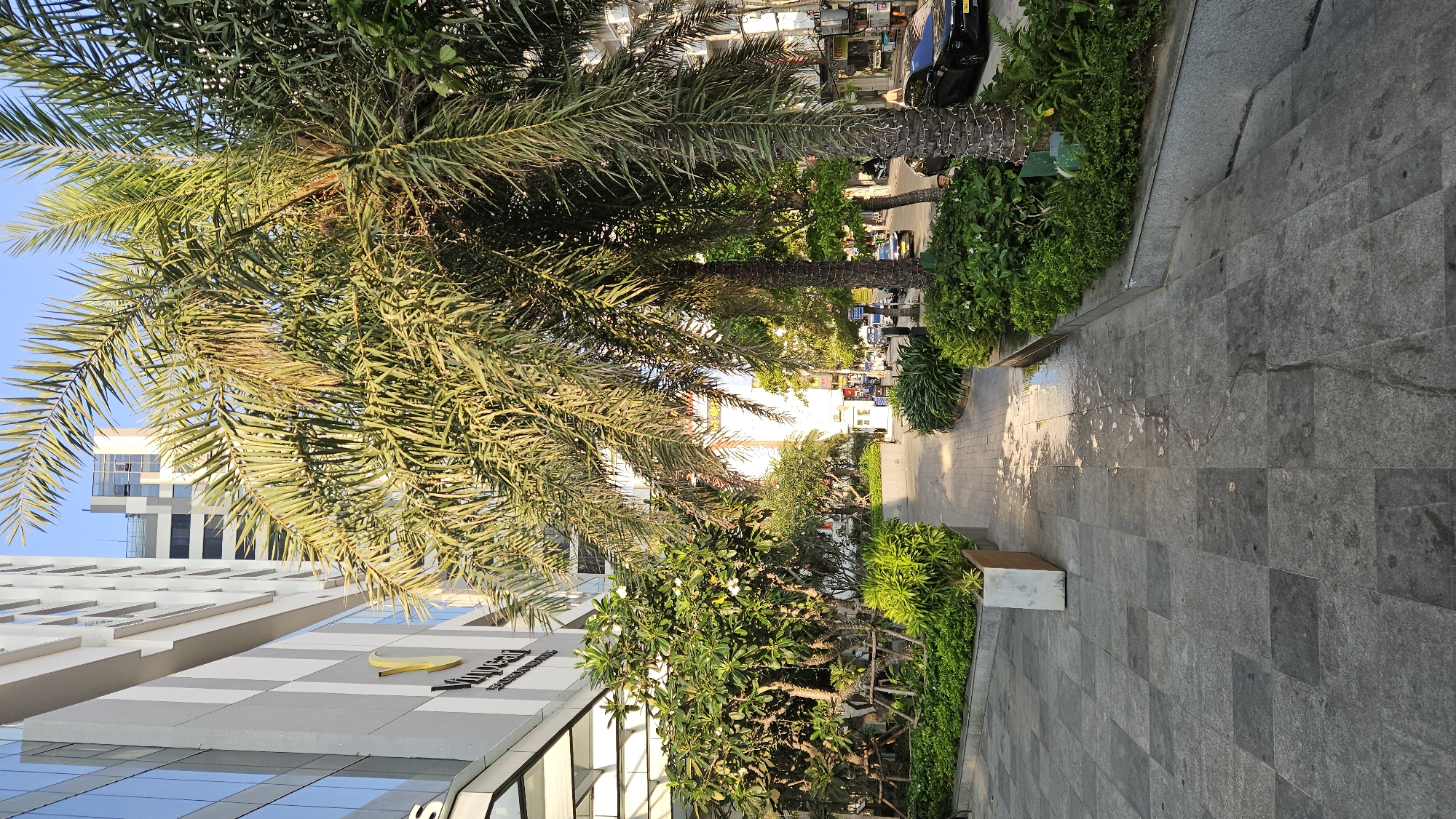 The image depicts a street scene in Nha Trang, Vietnam. A pedestrian walkway paved with grey stone runs along a building with a striped exterior and glass windows. The building features a gold-colored logo and text, partially obscured. A row of palm trees and other greenery lines the walkway, providing shade and visual interest. In the background, cars and other buildings can be seen further down the street. There are signs of morning sun as shadows are cast on the pavement.