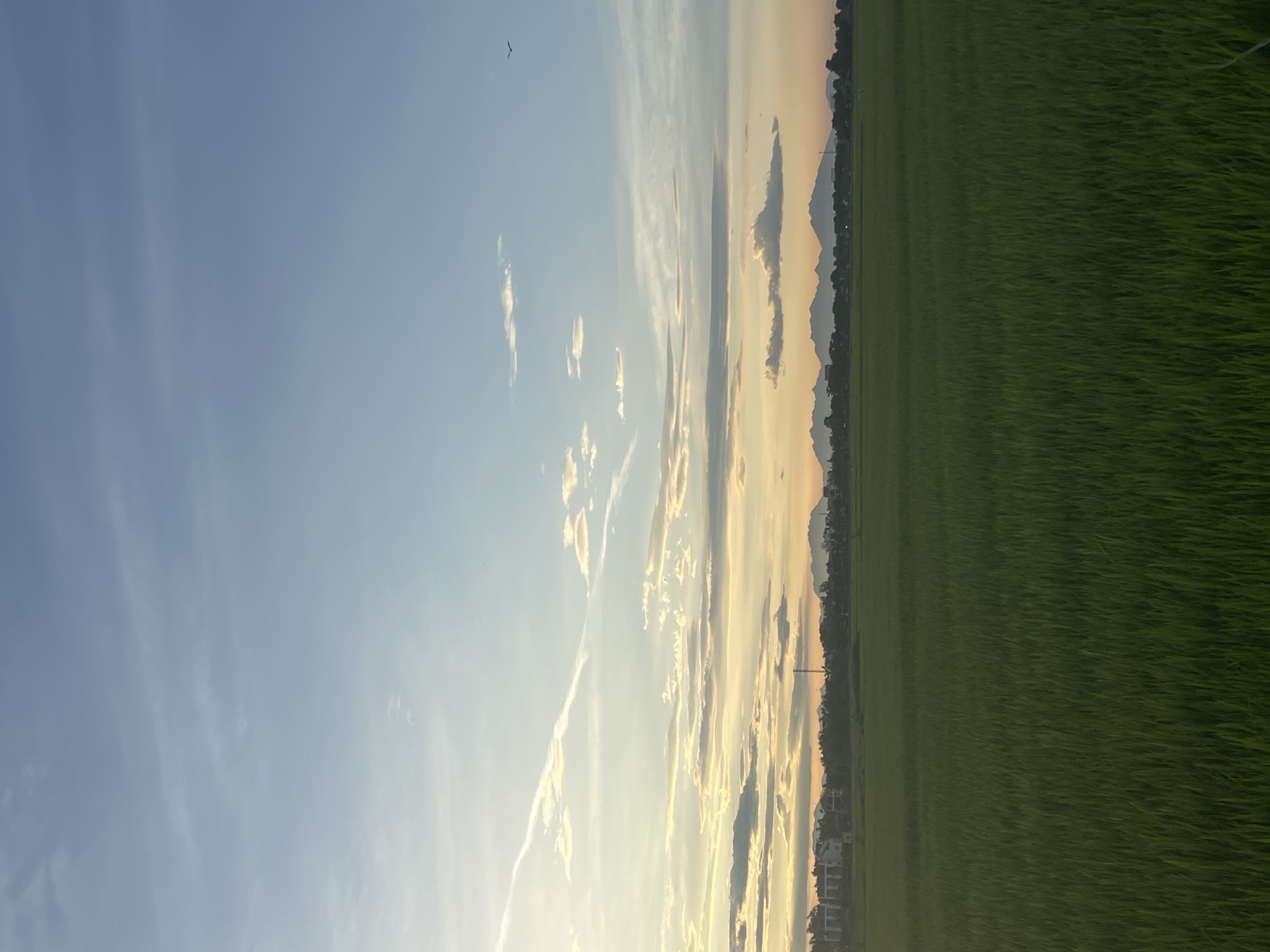 This image depicts a rural landscape in Hoi An, Vietnam, at dusk. A vast expanse of vibrant green rice paddies dominates the foreground, stretching towards a distant tree line. Beyond the trees, a silhouette of mountains forms the horizon, their peaks softened by the fading light. The sky above is a canvas of soft blues and oranges, streaked with wispy clouds and a single contrail. A lone bird is visible in flight against the pale sky. In the mid-ground, several buildings, likely homes or small structures, are nestled among the trees, with a faint indication of utility poles. The overall atmosphere is one of tranquility and natural beauty, characteristic of the Vietnamese countryside during sunset.