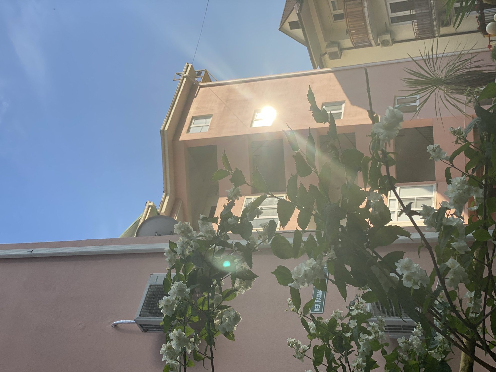 The image depicts a low-angle shot of buildings and foliage in what is likely the city of Sochi, Russia. The architecture features pink-painted walls. In the foreground, a flowering plant with white blossoms is prominently displayed, partially obscuring the building behind it. The foliage is lush and green. A street sign with Cyrillic text is visible on the building. The sky is clear and blue. Bright sunlight casts a strong glare on the building. An air conditioning unit and a satellite dish are visible on the building. Another taller building is visible in the background.