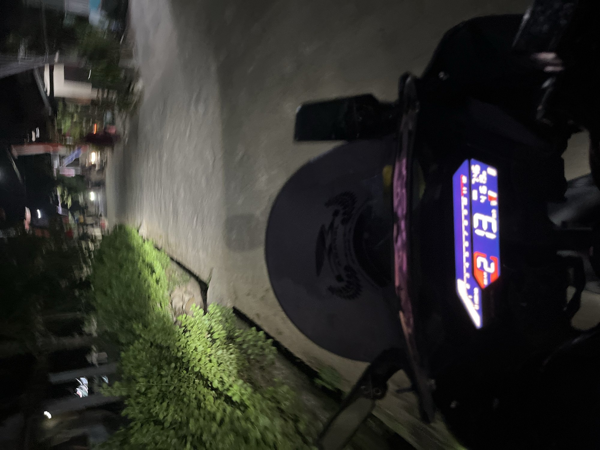 A first-person perspective from a motorcycle shows a digital display with the numbers "2 13" illuminated in blue, suggesting a speed of 21.3 units, possibly kilometers per hour. The motorcycle's windshield is visible, reflecting some light and a pattern. The scene is set on a road at night, with a well-lit dense green hedge on the left side of the path, casting a green glow on the pavement. The road appears to be paved with gray stones or asphalt and is lined with trees and houses on both sides. The overall impression is a night ride through a residential area in Karangrandu, Indonesia.