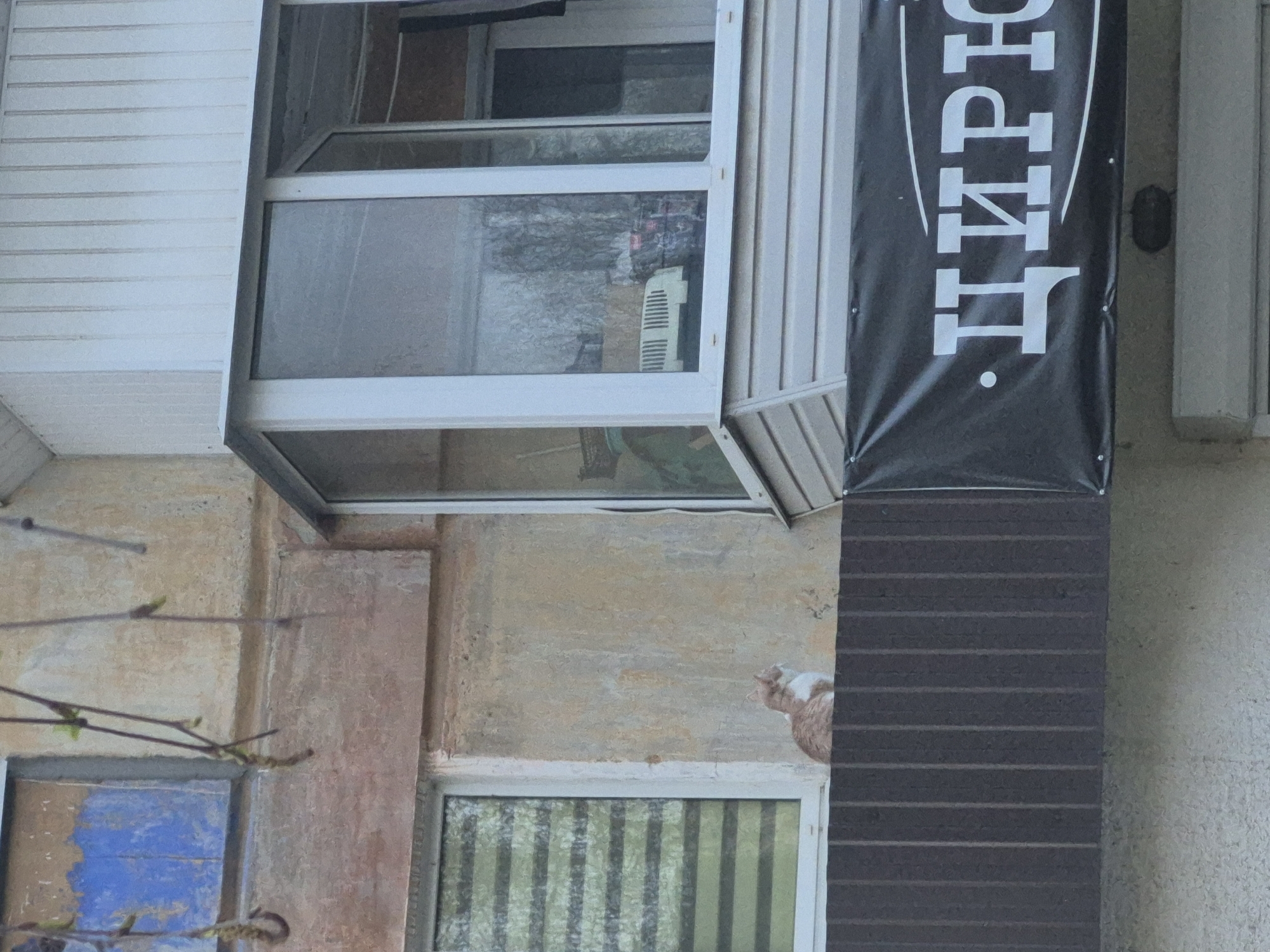 This is an outdoor shot of a building in what appears to be the city of Chaikovsky, Russia, given the Cyrillic text on a sign. The sign, partially visible, is black with white text. To the left of the sign, there is a building facade with a window, and underneath it, another window with striped blinds. The building is made of textured cream and beige colored walls. A part of the building is blue, and the window has a small balcony on top. A cat is visible on the wall between the sign and the lower window. The photo is taken from a slightly low angle. In the foreground, there are branches with budding leaves.