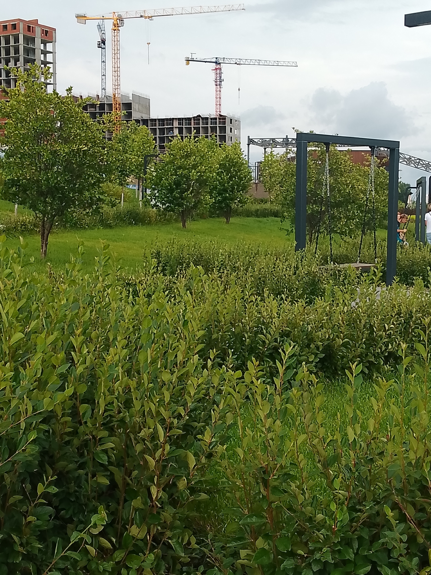 In Penza, Russia, an outdoor scene depicts a construction site with multiple tower cranes. In the foreground, dense green foliage and trees create a natural barrier, partially obscuring a children's playground with a swing set. In the background, unfinished buildings stand as testaments to ongoing construction. The sky is overcast with clouds. Two individuals, one in a blue top and the other in a white top, are visible near the playground, suggesting recent activity. The image captures a juxtaposition of urban development and natural elements.