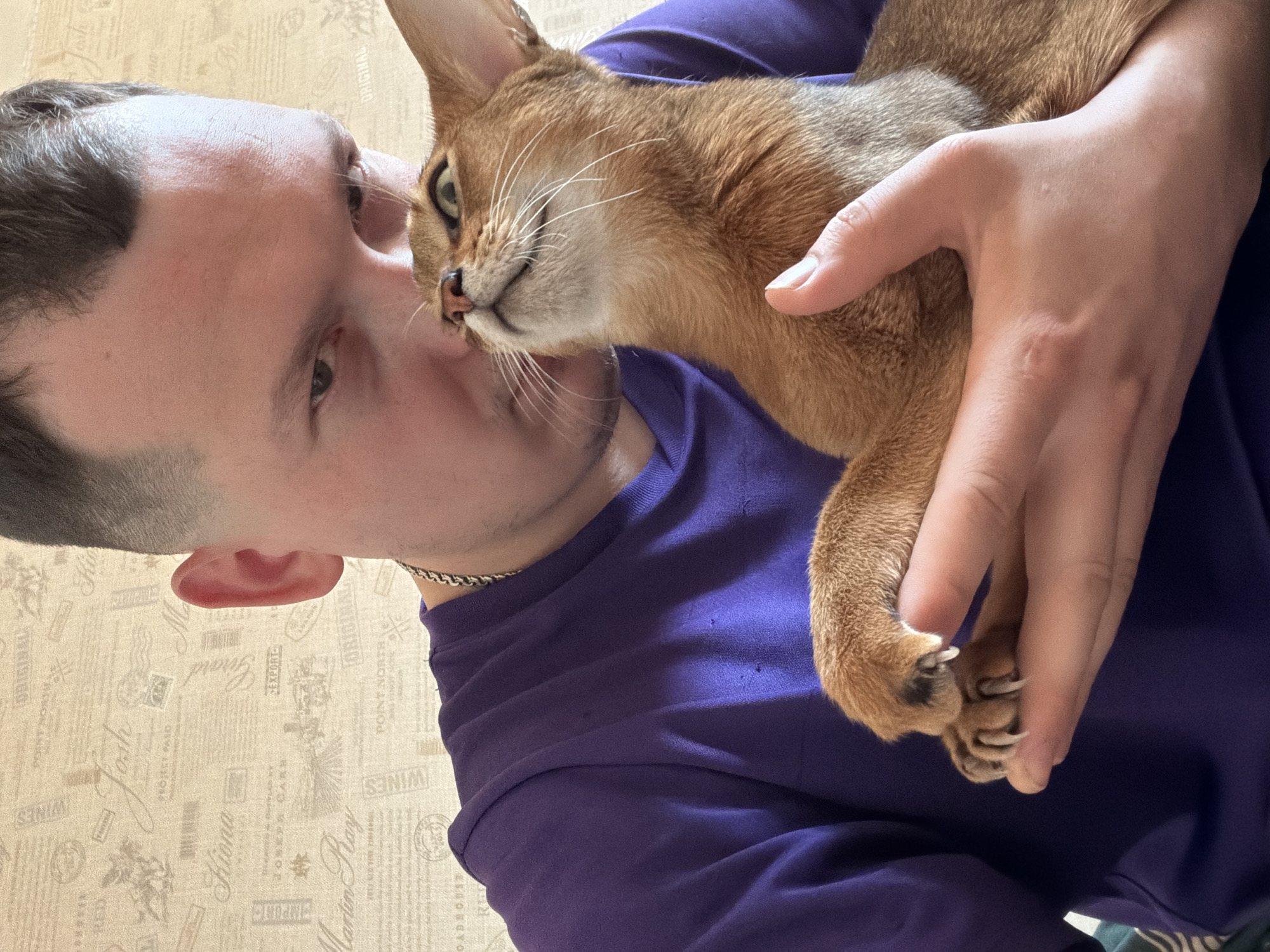 A man is holding a cat up to his face. The man has short brown hair and is wearing a purple shirt. The cat is light brown and has green eyes. The background is a wall with a patterned wallpaper. There are letters on the wallpaper. The cat’s claws are visible.