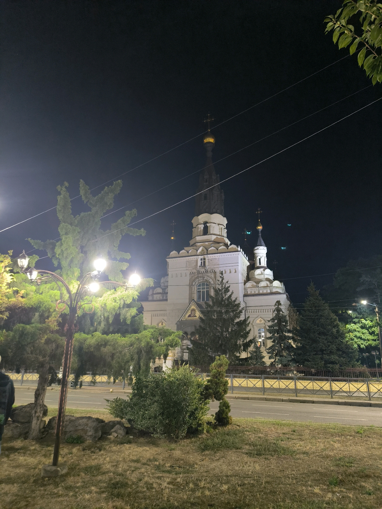 This is a nighttime exterior, eye-level, medium shot of the Church of the Ascension of Christ in Mykolaiv, Ukraine. The church is illuminated by streetlights and its own interior lighting. The building is white with several domes and spires, one of which is golden. A lamppost with multiple lights is in the foreground to the left, and several trees, including cypress and what appears to be a trimmed evergreen, are also visible. A road with a yellow striped fence runs in front of the church. The sky is dark, with some electrical wires visible. The overall scene is quiet and serene, with no people clearly depicted.