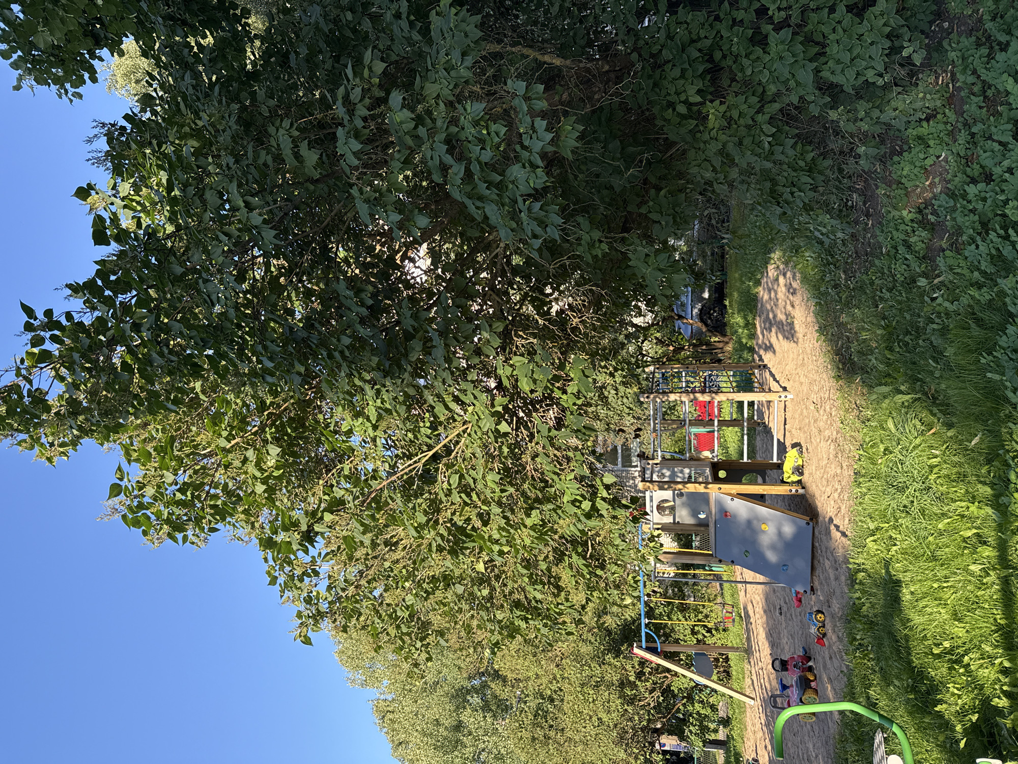 A sunlit outdoor playground is depicted under a clear blue sky, with a large, leafy tree dominating the right side of the frame. The playground features a swing set with blue and yellow bars and yellow seats, a climbing structure with gray and red elements, and a slide. Sand covers the ground around the playground equipment. Scattered in the sand are several children's toys, including a pink and yellow toy truck, a small blue tractor, and a yellow construction vehicle. Lush green grass grows in the foreground and along the edges of the playground. In the background, more trees are visible, and a vehicle can be seen parked behind the playground. The image captures a peaceful, ordinary day in an urban or suburban setting.