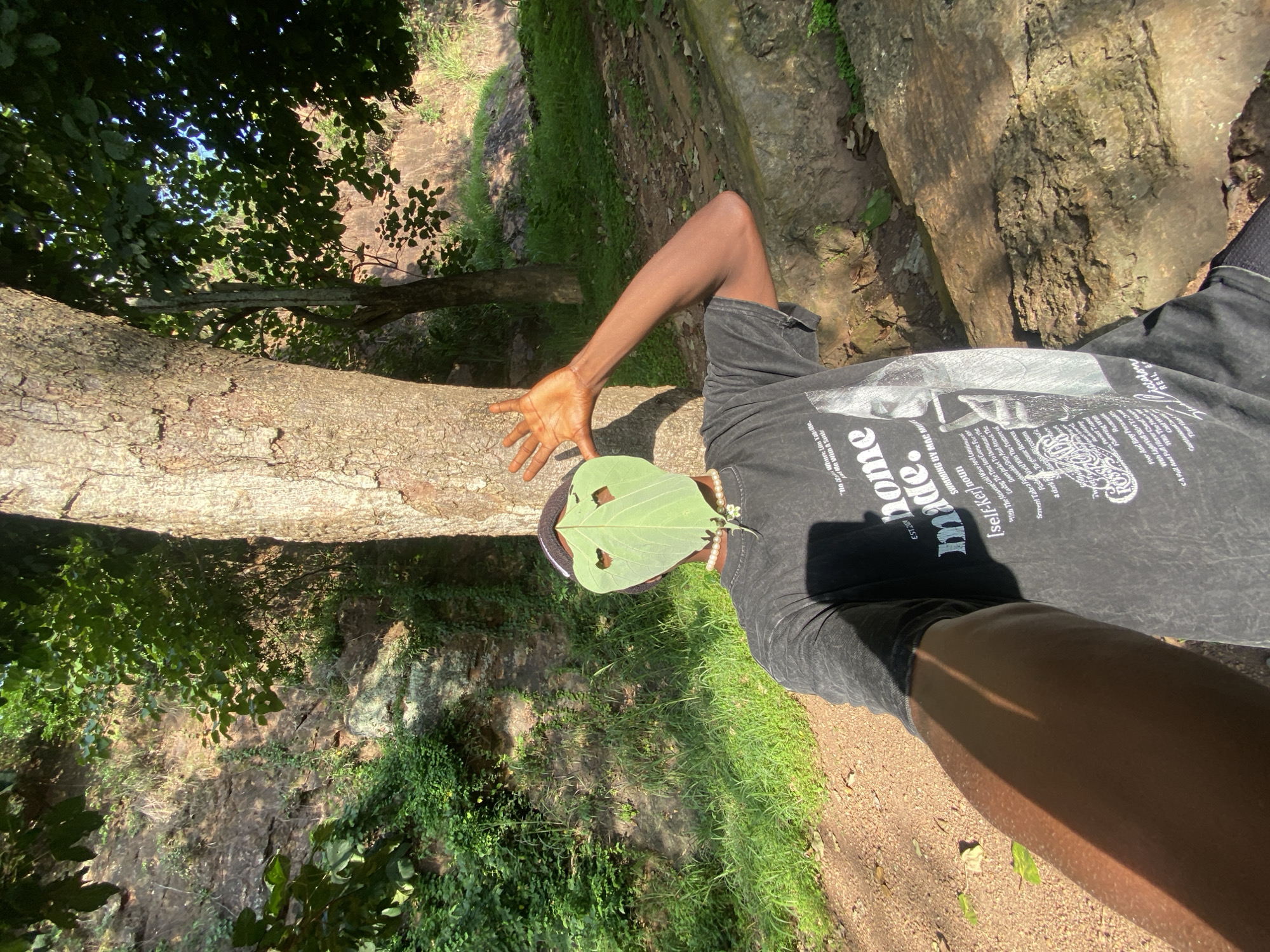 A person with dark skin is holding a green leaf in front of their face, obscuring their features. The leaf has two heart-shaped cutouts. They are wearing a dark t-shirt with white text and dark shorts. The person's left arm is extended with their hand open. They appear to be outdoors, near a large tree with textured bark. The background includes lush green foliage, rocks, and a dirt path, suggesting a natural, possibly wooded or hilly environment. Sunlight casts shadows, indicating it is daytime. The overall impression is one of playful interaction with nature. The text on the t-shirt is partially visible and appears to be in English. The location is contextually identified as Abofifia, Nigeria.