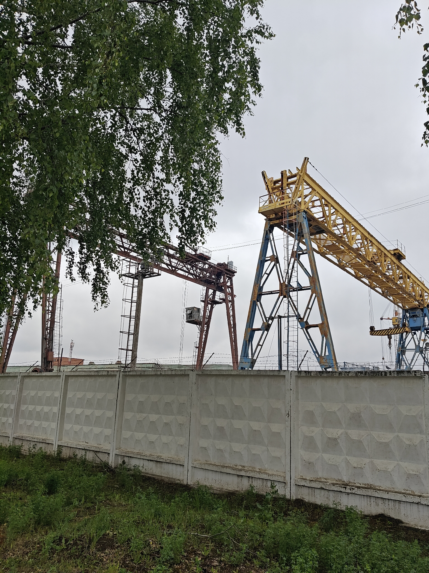 The image depicts an industrial scene in Chaikovsky, Russia, showcasing large gantry cranes behind a precast concrete fence. Two distinct cranes are visible: one painted in yellow and blue, the other in red. Both are partially obscured by a tree on the left side of the frame. The concrete fence is uniform, with a repeating geometric pattern and barbed wire above. Overcast sky conditions are present. There is vegetation growing in front of the fence, on the ground. No people are visible.