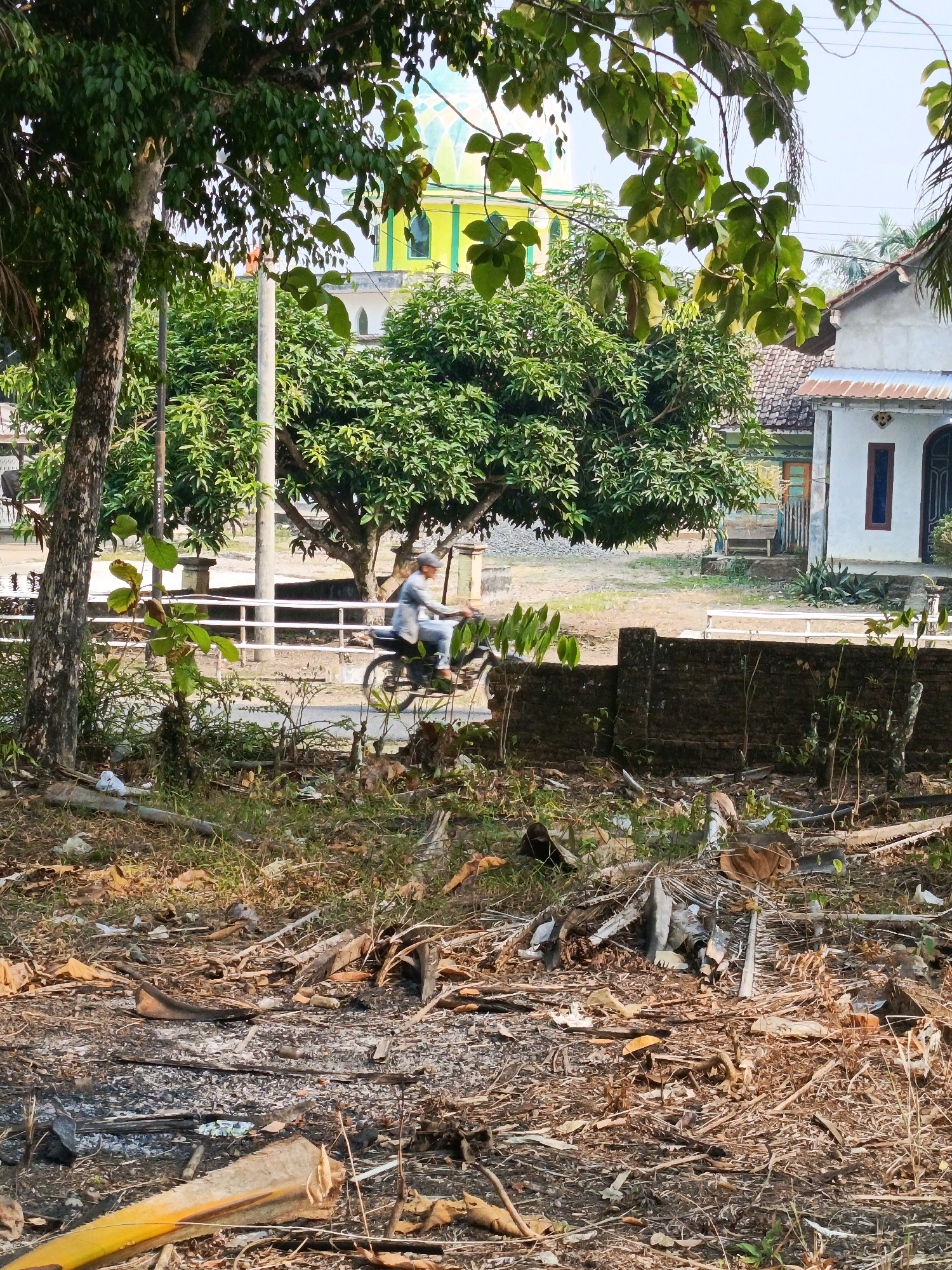 In a dusty, overgrown area in the city of Megang Sakti IV, Indonesia, a person rides a bicycle along a paved road. The foreground is cluttered with dry leaves, twigs, and debris, with a bright yellow object in the lower left corner. A low, dark brick wall runs horizontally across the mid-ground, separating the debris-filled area from the road. Beyond the wall, a person wearing a grey shirt and cap is riding a bicycle, their body angled away from the camera. The road is bordered by a white railing. In the background, lush green trees are prominent. A large mango tree with dense foliage stands to the left of the road. Further back, a building with a white facade and a distinct, brightly colored dome, possibly a mosque, is visible. The overall scene depicts a rural or semi-rural setting with evidence of natural decay and human activity.