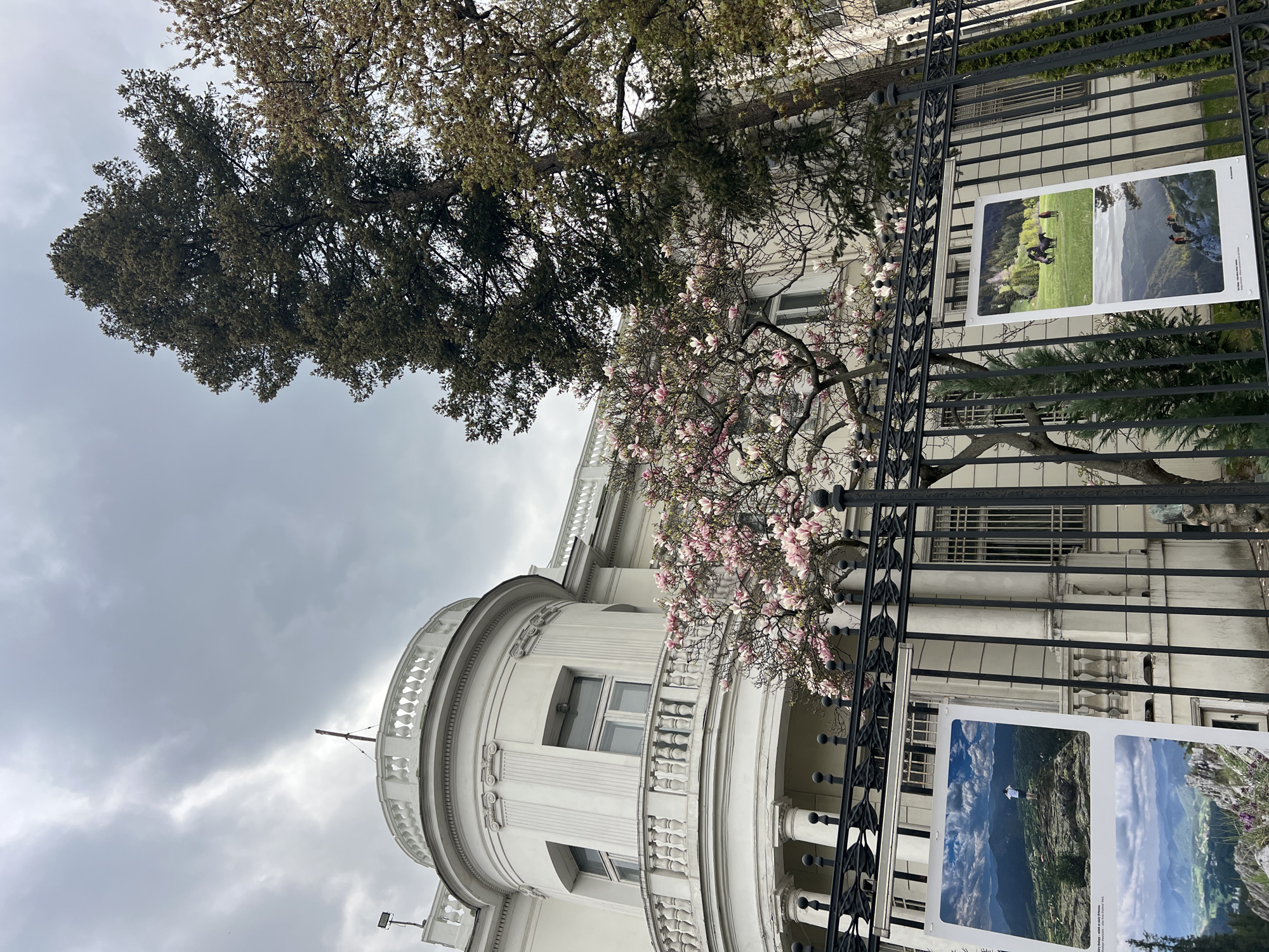 The image shows a low-angle view of a white building with a rounded facade and ornate architectural details. A wrought-iron fence stands in front of the building, with two large photographic prints attached to the fence. The prints appear to depict landscapes.
A large tree with brown and green leaves is visible behind and to the left of the building. A tree with pink flowers is in front of the building. The sky is overcast with grey clouds.
The location is likely Warsaw, Poland, considering the architectural style of the building and the surrounding trees. Specific details about people and interactions are not visible in the image.