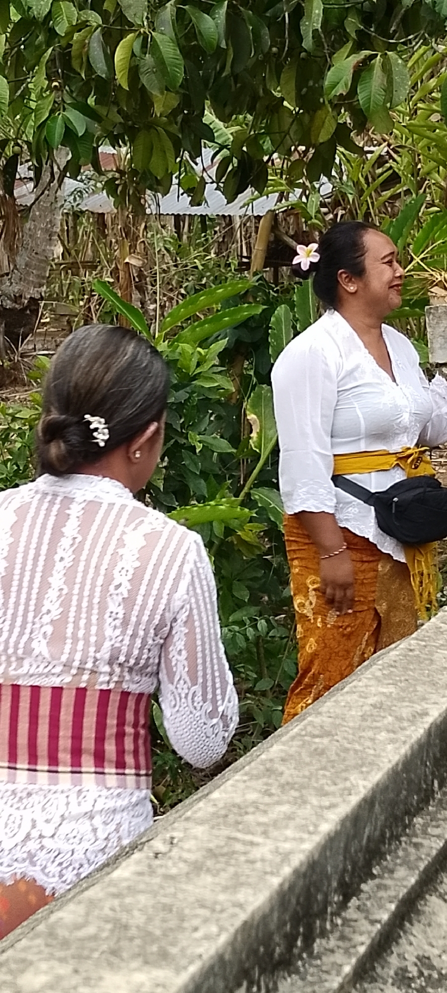 In Pekutatan, Indonesia, two women are standing outdoors amidst lush green foliage. The woman on the right wears a white, long-sleeved blouse and a traditional orange sarong with a yellow sash. A small, light pink flower is tucked behind her ear, and she has a black fanny pack slung across her body. The woman on the left, seen from behind, is wearing a white lace blouse over a white undershirt and a sarong with maroon and cream stripes. She has a pearl hair clip in her dark hair. A concrete structure, possibly a wall or railing, is in the foreground. The background is filled with dense green plants and trees, suggesting a tropical environment.