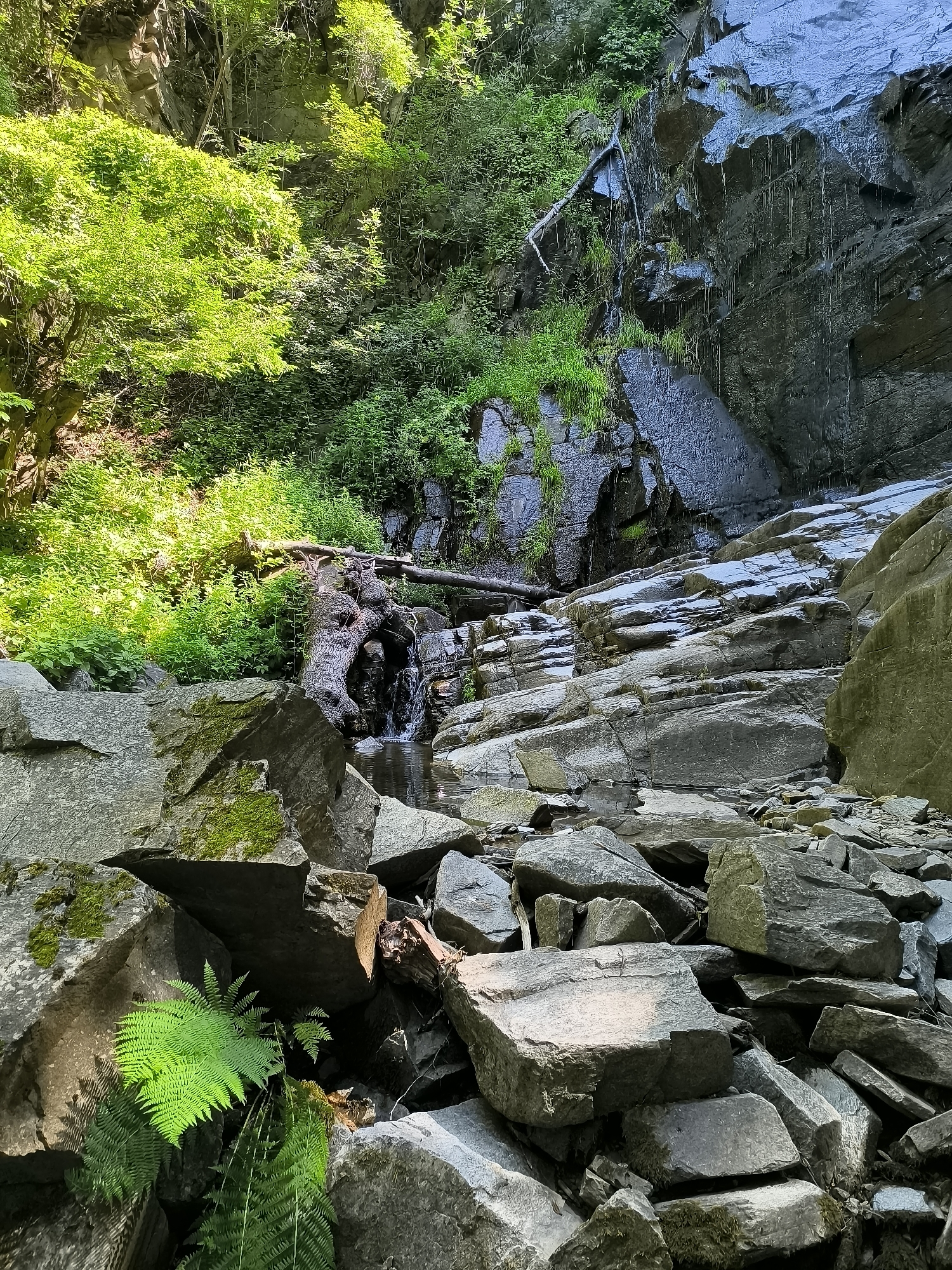 The image depicts a natural scene with a waterfall cascading down a rocky cliff face. Lush green foliage, including trees and ferns, surrounds the area, with sunlight filtering through the leaves in some parts. Large, gray rocks of various sizes are scattered throughout the foreground and midground, some covered in moss. A fallen log is visible near the top of the waterfall, and the water collects in a small pool at the base of the rocks. The overall impression is of a serene and wild natural environment. This specific scene is located in the vicinity of the village of Kovachevitsa, Bulgaria, an area known for its picturesque natural landscapes. There are no people or animals visible in the image.