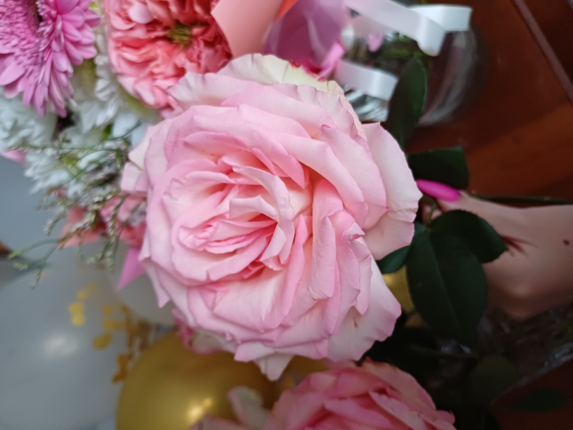 This close-up, eye-level shot showcases a vibrant bouquet of pink flowers, primarily featuring a large, pale pink rose in the foreground. The rose's petals are layered and soft, with subtle variations in color from pale white to a richer pink at the edges. Behind it, other pink flowers, possibly gerbera daisies and carnations, are visible, along with hints of white filler flowers and delicate green foliage. The bouquet is arranged in what appears to be a gift setting, as evidenced by the presence of a gold and a white balloon in the lower left corner, some of which are decorated with gold confetti. A blurred, wooden surface can be seen in the upper right background, suggesting the bouquet might be placed on a table or shelf. The overall lighting is soft, highlighting the delicate textures of the flowers. There is no visible text in the image. The composition suggests a celebratory or thoughtful gift, possibly for an occasion like a birthday or anniversary.