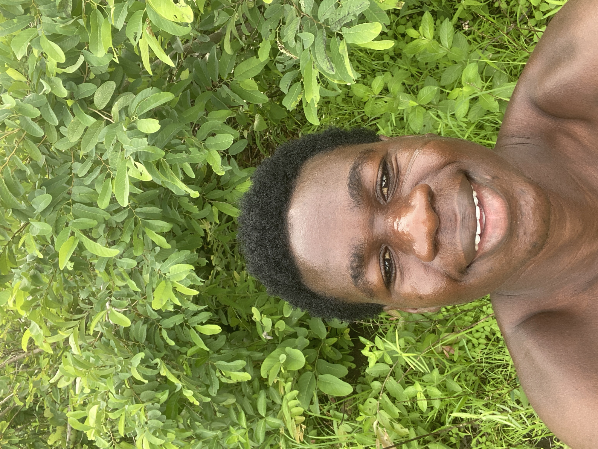 The image displays a close-up, rotated portrait of a person with dark skin and short, curly black hair, positioned outdoors amidst lush green foliage. The individual is shirtless and looks directly at the camera with a wide, joyful smile, revealing white teeth. A natural sheen is visible on their skin, suggesting warmth or humidity.
The background is dominated by a dense array of vibrant green leaves from various plants, including larger elliptical leaves of a bush or shrub, and smaller leaves indicative of ground cover or grass. The overall impression is one of a natural, verdant environment. The lighting suggests it is daytime.
The activity captured is a casual portrait or selfie, conveying a sense of happiness and contentment from the subject. There is no visible text in the image. The location context for this scene is Mararaba, Nigeria.