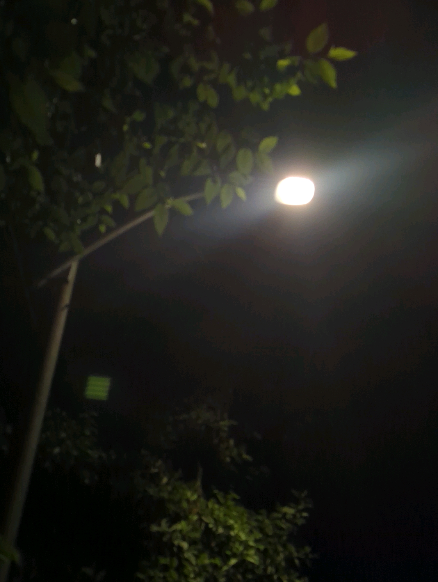 A street light illuminates a dark, outdoor scene, likely at night, casting a bright glow on surrounding foliage and a portion of a pole. The street light is positioned to the right of the frame, emitting a strong, white light that creates a halo effect and illuminates the dark sky. To the left of the light, a light-colored pole rises vertically, supporting the lamp. Lush green leaves from trees are visible in the upper left and lower right portions of the image, silhouetted against the dark background and partially lit by the street light. A faint, square, green object is visible on the pole in the lower left quadrant. The overall ambiance suggests a quiet, possibly residential or park-like setting within Musanze District, Rwanda.