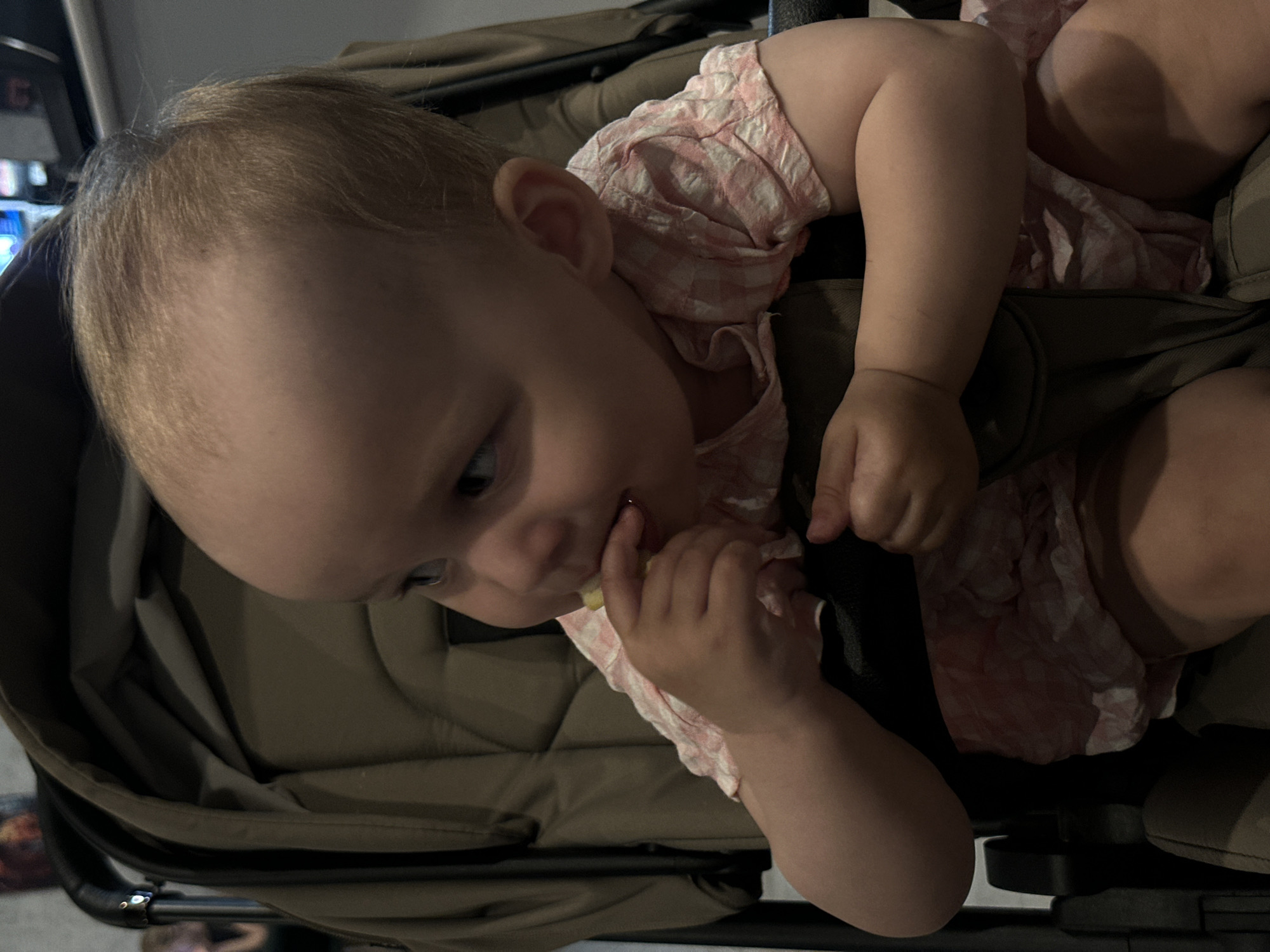 A young child sits in a stroller. The child has fair hair and is wearing a pink and white patterned dress. The child is holding something in their hand and appears to be putting it in their mouth. The stroller is a dark tan color and has black straps securing the child. The background is blurry and indistinct. There is no information to indicate the location is Chaikovsky, Russia.