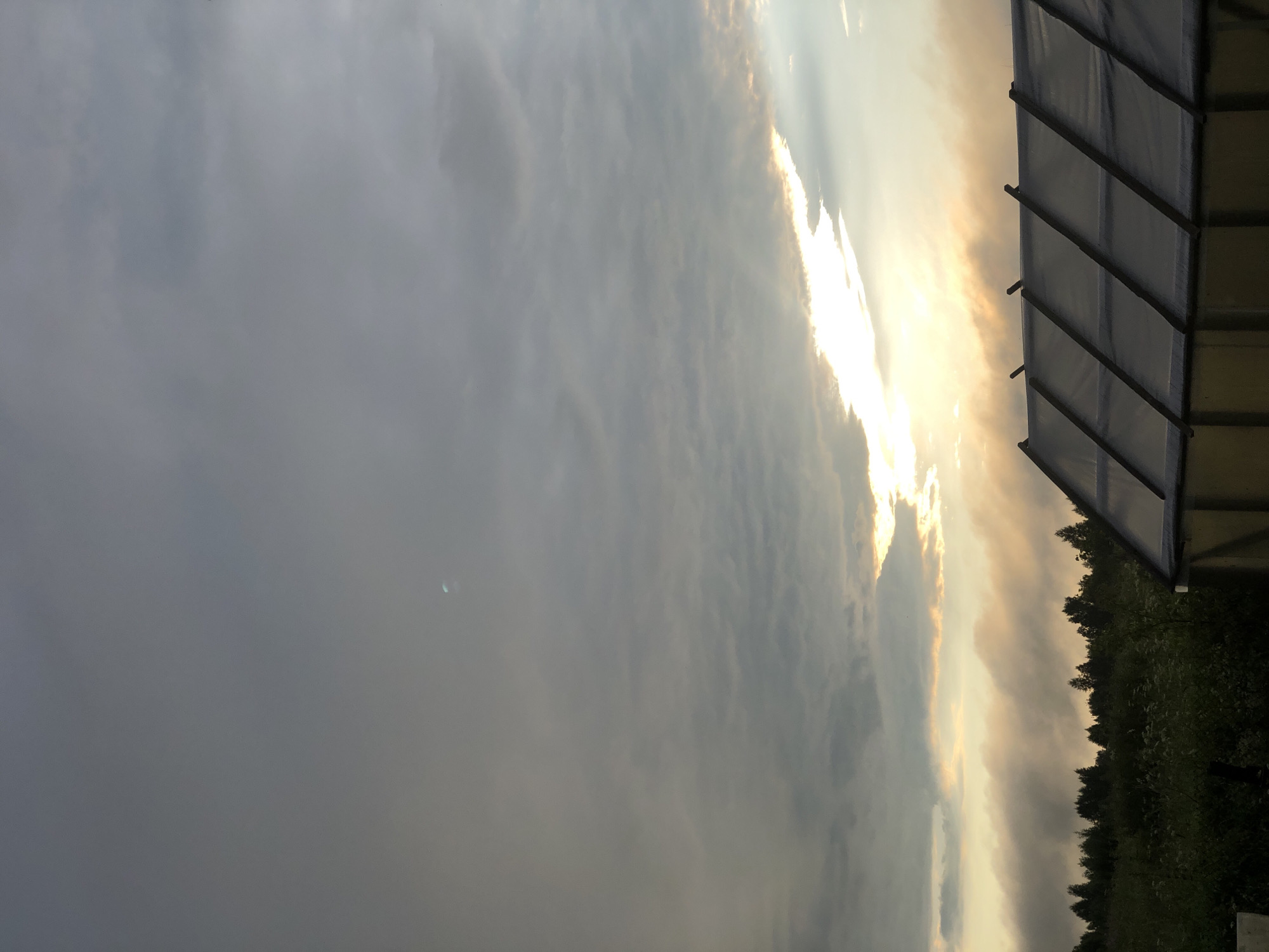 The image depicts an outdoor scene at dusk in the city of Uriupino, Russia. The sky is overcast with dramatic clouds, and a sliver of sunlight breaks through near the horizon, casting a warm glow. In the foreground, the roof of a greenhouse is visible, constructed with translucent material stretched over a wooden frame. Beyond the greenhouse, a dense line of trees forms a dark silhouette against the fading light. The ground in front of the trees is covered with vegetation, including tall grasses and wildflowers. The overall atmosphere is serene and somewhat moody, characteristic of the transitional light of twilight.