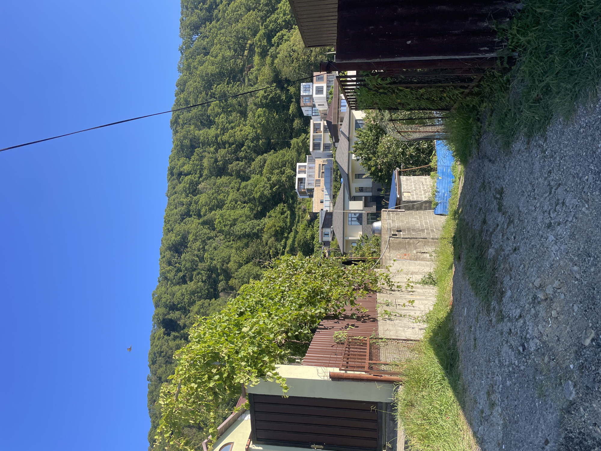 The image depicts a clear, sunny day in Baranovka, Russia, likely a residential area on a hillside. A gravel path leads towards a cluster of modern multi-story houses with white and light-colored facades, some featuring large windows and balconies, nestled against a densely forested green hillside under a bright blue sky. To the left, a brown corrugated metal gate and a fence with some greenery growing over it are visible, adjacent to a light-colored building with a rounded window. Another brown corrugated metal fence stands to the right. In the sky, a small bird is captured in flight above the treeline. The foreground is dominated by the rough gravel path with patches of green grass on either side.