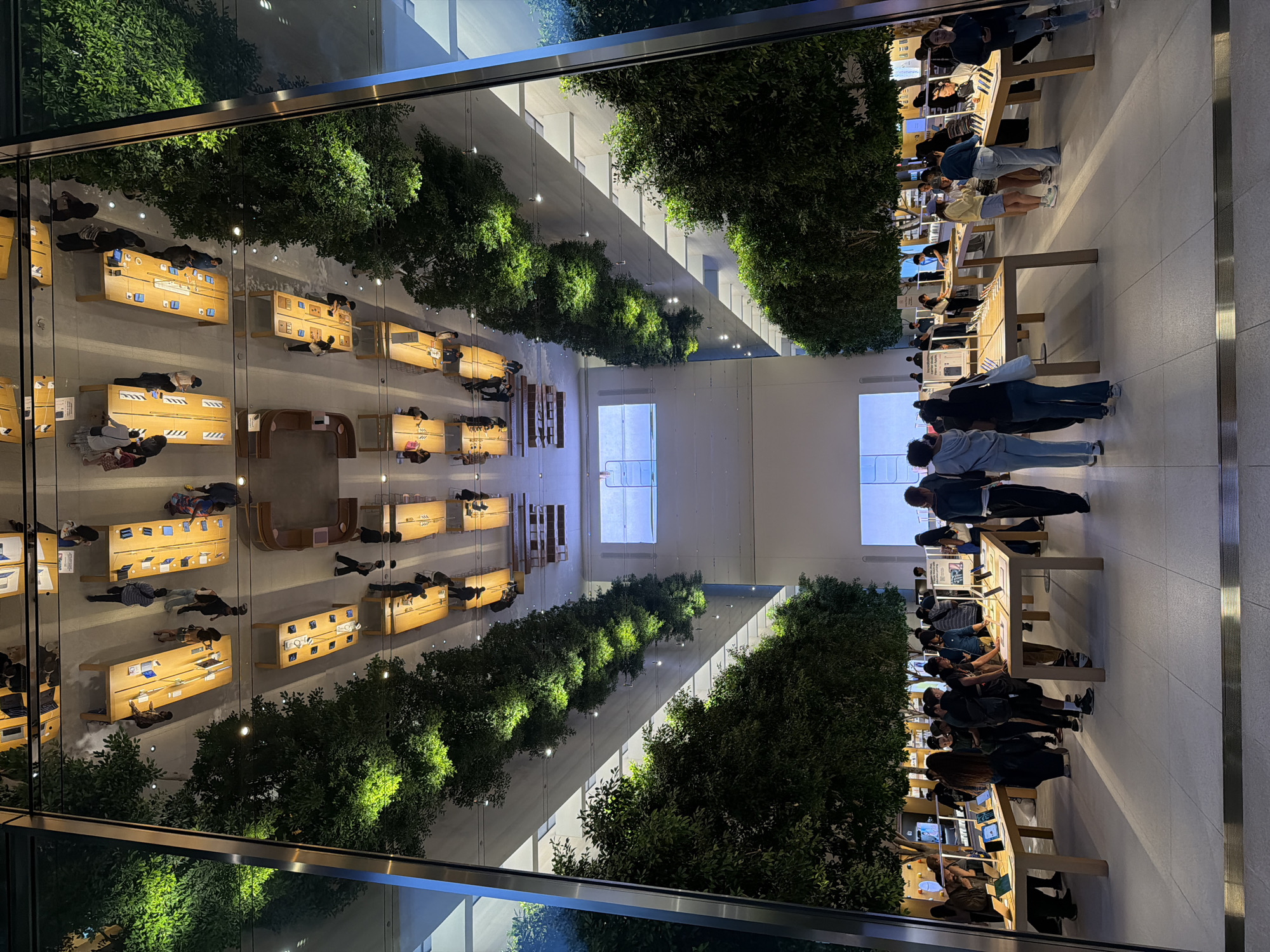 The image captures an interior view of an Apple Store in Los Angeles, United States of America. The store is filled with people browsing and interacting with Apple products displayed on long wooden tables. Lush green trees are strategically placed throughout the store, creating an airy and natural atmosphere. The lighting suggests it is evening, with bright, focused lights illuminating the products and ambient lights from the ceiling reflecting off the polished floor.
The scene is bustling with activity. Individuals are standing at the tables, looking at iPhones, iPads, and MacBooks. Some are in groups, discussing products, while others are alone, intently examining a device. Employees, identifiable by their attire and engagement with customers, are also present, assisting shoppers. The overall mood appears to be one of curiosity and engagement, with a sense of modern retail ambiance.
Notable details include the clean, minimalist design typical of Apple Stores, with smooth, light-colored flooring and large glass windows reflecting the interior and exterior. The trees contribute a unique element, softening the otherwise sleek, high-tech environment. The reflection of the store on the glass suggests the perspective is from outside looking in, or from a different section of the store. No visible text is present in the image.