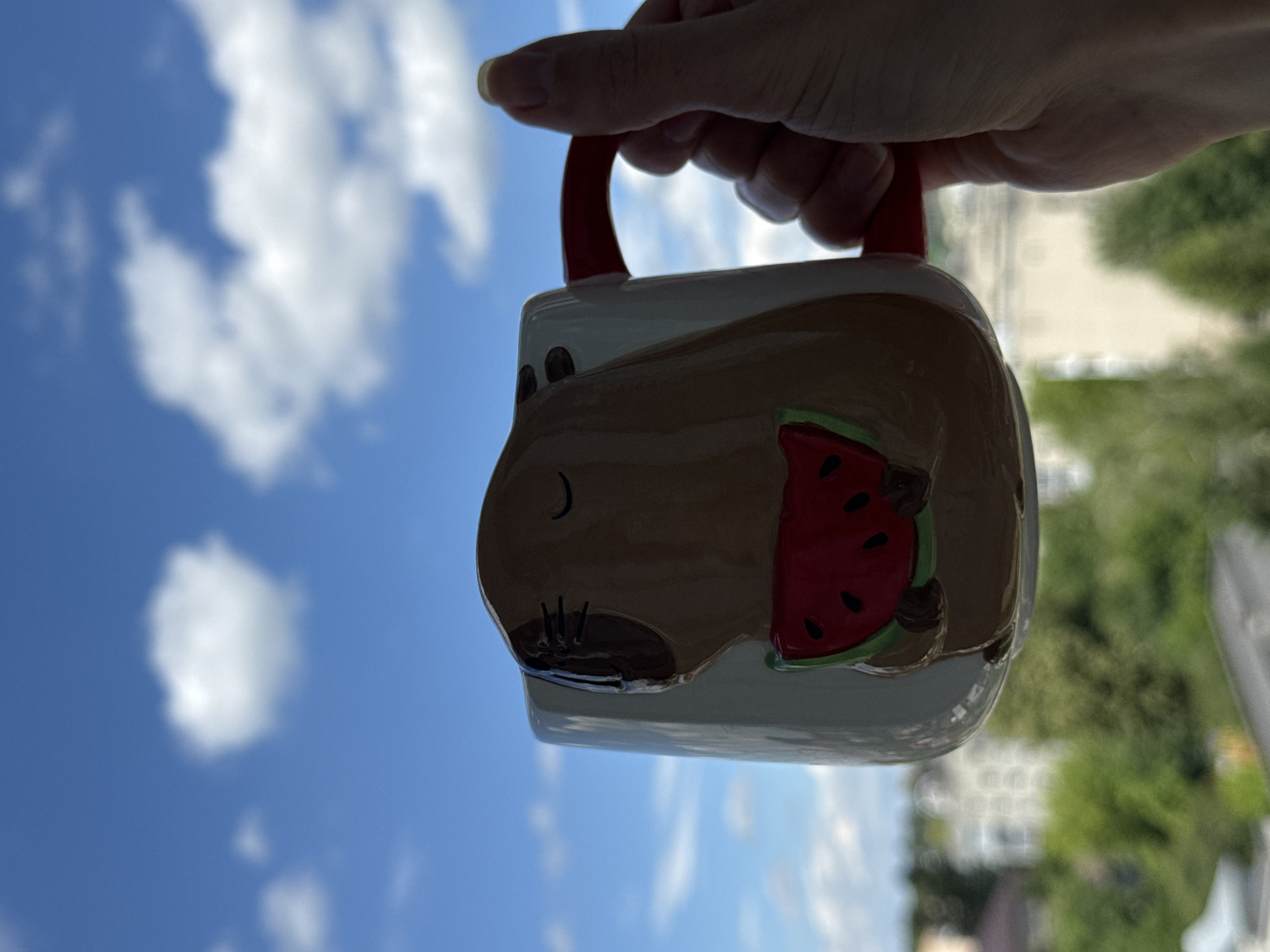 A hand holds a white mug with a brown capybara design, which is holding a slice of watermelon. The mug has a red handle. The background is a blurred view of a city with buildings and trees under a blue sky with white clouds. The perspective is from slightly above and to the right of the mug.