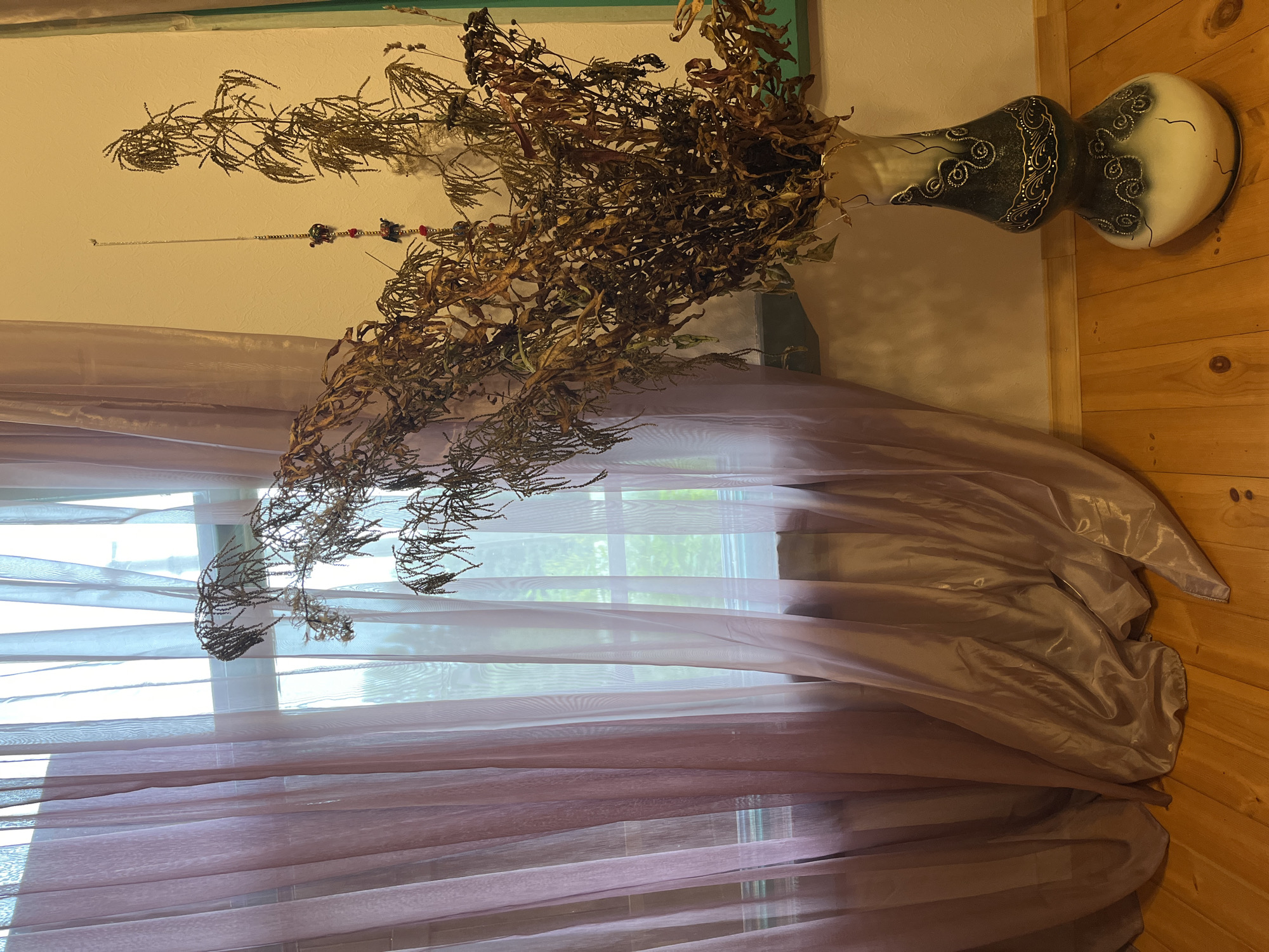 This media file showcases a still life arrangement in what appears to be an indoor setting, likely a home. The primary objects are a decorative vase filled with dried, brittle plant material, and a sheer, lavender-colored curtain draped across a window. The vase is elaborately decorated with swirling patterns in dark green and white, with accents of what might be gold or silver. The dried plants, a mix of delicate branches and leaves, are brown and autumnal in appearance, suggesting they are either naturally dried or preserved.
The setting includes a plain, off-white wall and a wooden floor made of planks. The light filtering through the curtain suggests it is daytime, with the sun likely shining outdoors, indicated by the bright areas visible through the translucent fabric and the shadows cast on the wall. The overall mood is calm and perhaps slightly melancholic due to the dried plants. There are no people visible, and no text is present in the image. The window shows a blurred glimpse of greenery outside, hinting at a natural environment. The combination of the ornate vase, the dried flora, and the soft drapery creates a decorative and artistic composition within the room.