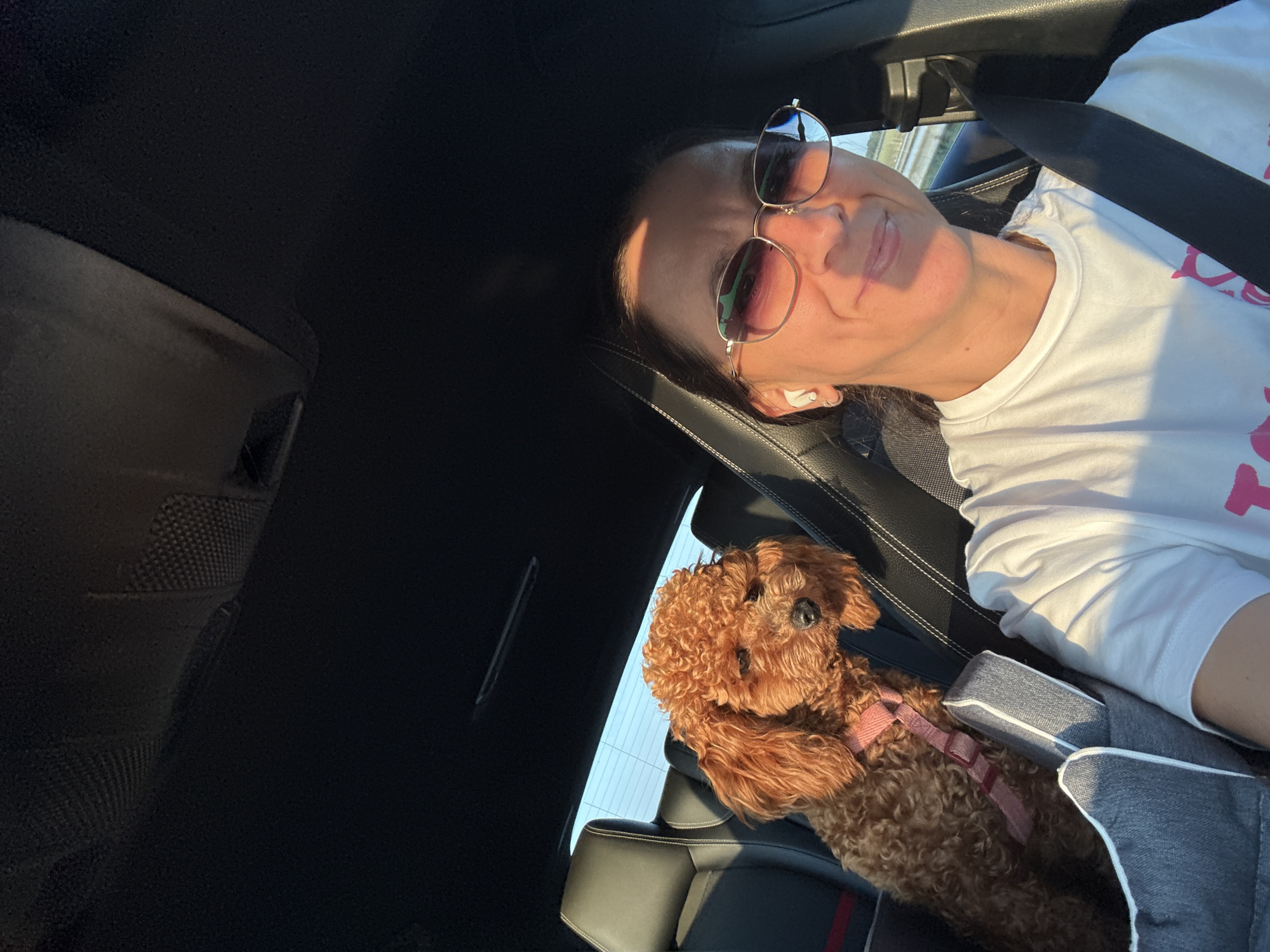 The image shows a woman and a toy poodle in a car. The woman is in the driver's seat, wearing a white t-shirt, sunglasses, and earbuds. She is smiling and looking at the camera. The poodle is in a pet car seat in the passenger seat, wearing a pink harness. The car's interior is visible, including the headrests and seatbelts. The background shows a road with trees and a body of water, suggesting the car is driving through a rural area. The scene appears to be a selfie taken by the woman. There are no visible indications that this image was taken in Scheemda, Netherlands.