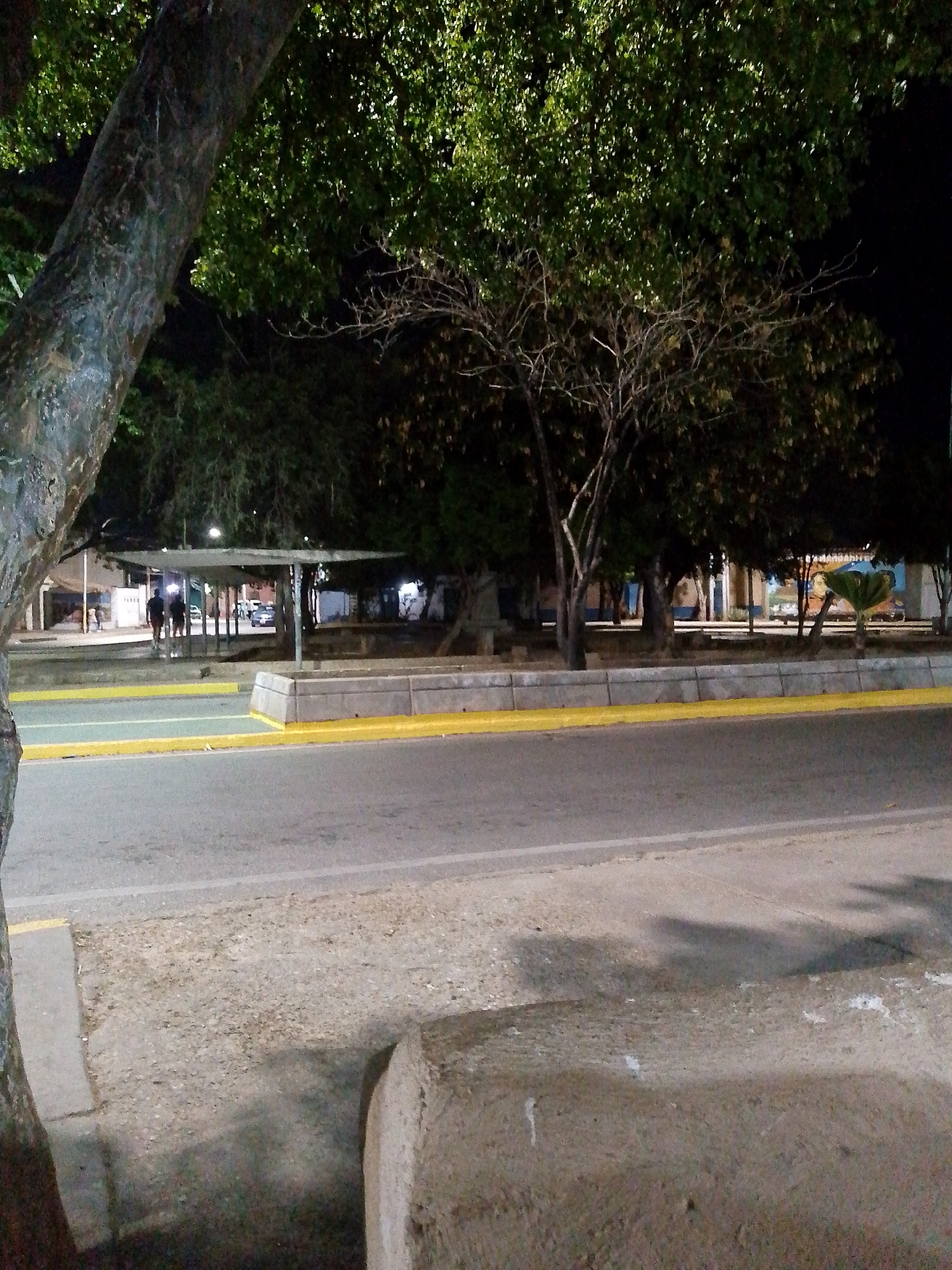 The image depicts a street scene at night in Juan Griego, Venezuela. A large tree trunk dominates the left foreground. Behind it, a road with a yellow line dividing it from a pedestrian area is visible. A covered bus stop-like structure with people underneath is present further back. Trees line the background along with some buildings. The scene is illuminated by streetlights, casting shadows on the road and pavement.