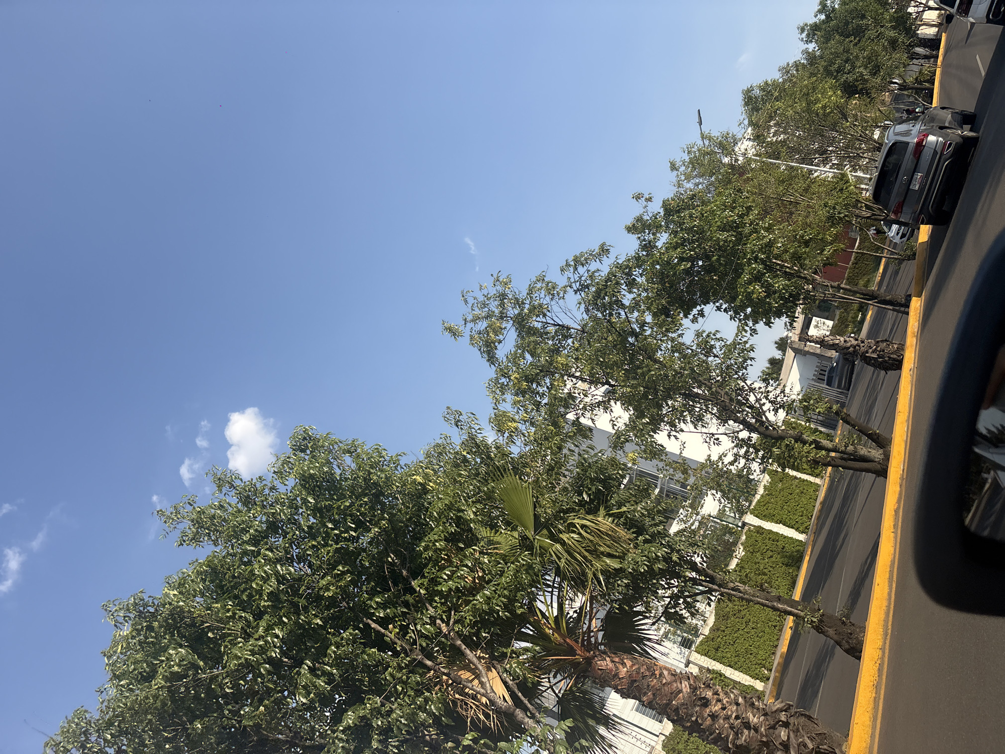 The image shows a street view in what appears to be Puebla, Mexico. The sky is mostly clear blue with some scattered clouds. The street is lined with trees and some greenery, including palm trees. Some buildings are visible behind the trees. There are cars parked on the street. The image is taken from a moving vehicle. The yellow curb along the road suggests a designated parking or lane separation. The general setting suggests a modern urban environment with a blend of nature and architecture.