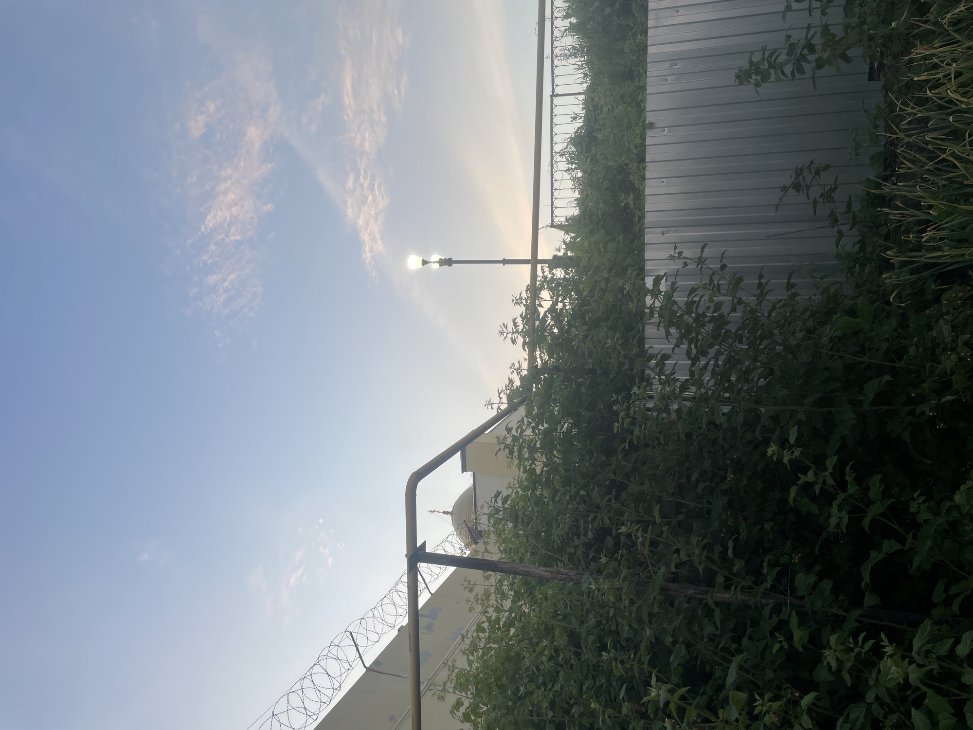 The image depicts an outdoor scene with a clear blue sky with scattered wispy clouds, suggesting a pleasant daytime or early morning. The sun is visible, casting a bright glow and appearing to be low in the sky, hinting at either sunrise or sunset.
In the foreground, a metal fence with barbed wire runs horizontally across the lower part of the frame. Behind the fence, lush green foliage and plants are densely growing, partially obscuring what lies beyond. A portion of a pale yellow building is visible, topped with a dome-like structure, possibly indicating a religious building. A street lamp with two lights is also present, its bulbs illuminated, suggesting it may be dusk or dawn, or simply a time when the lamp is on for visibility.
Further back, a corrugated metal fence runs vertically along the right side of the image, and dense greenery continues to fill the space. The overall impression is one of an urban or semi-urban fringe, possibly a park, a religious complex, or an industrial area bordered by natural growth. There is no text visible in the image. The image is oriented vertically.