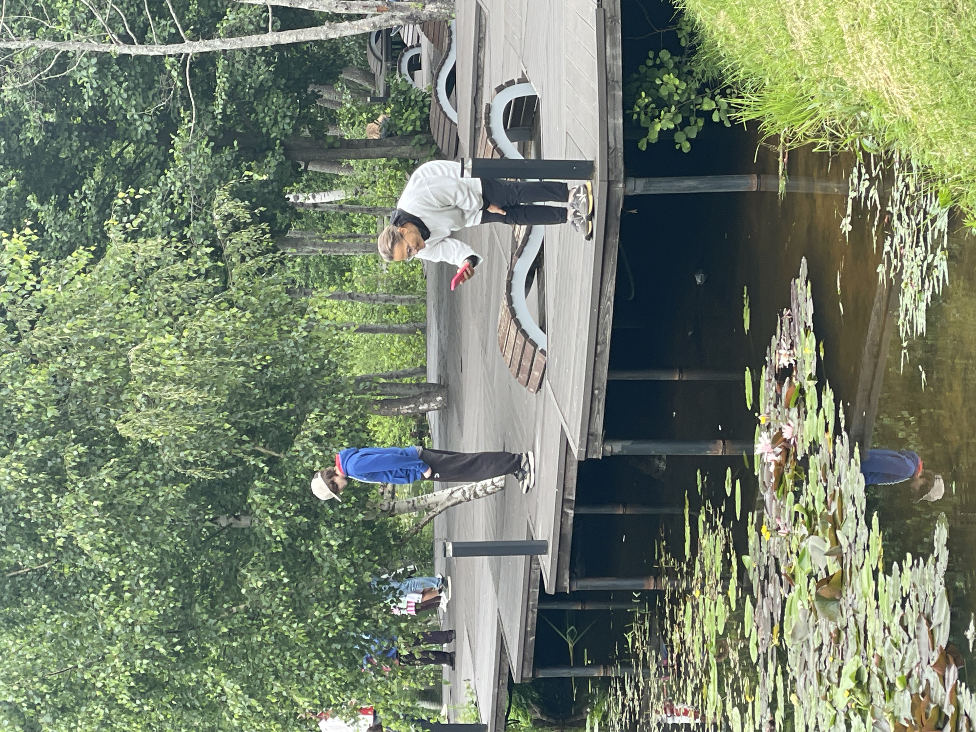 The media file shows an outdoor scene on a wooden boardwalk next to a body of water filled with water lilies. There are three people visible on the boardwalk. The person in the foreground is wearing a white hoodie and black pants and is looking down at a pink object, possibly a phone, in their hand. To their left and slightly behind them, another person is wearing a blue jacket and a light-colored cap, with black pants. Further down the boardwalk, a third person is visible from the waist down, wearing dark pants and dark shoes, with some colorful clothing items peeking out from behind them.
The setting appears to be a park or recreational area, with trees and lush green foliage surrounding the boardwalk. The water is dark and reflects the wooden structure and surrounding vegetation. The presence of water lilies suggests a natural or semi-natural aquatic environment. The lighting indicates it is daytime, and the weather appears to be overcast or partly cloudy, given the diffused light and lack of strong shadows. There is no visible text in the image. The overall mood is casual and relaxed, with individuals enjoying the outdoor setting. The location context provided is Sosnoviy Bor, Russia.