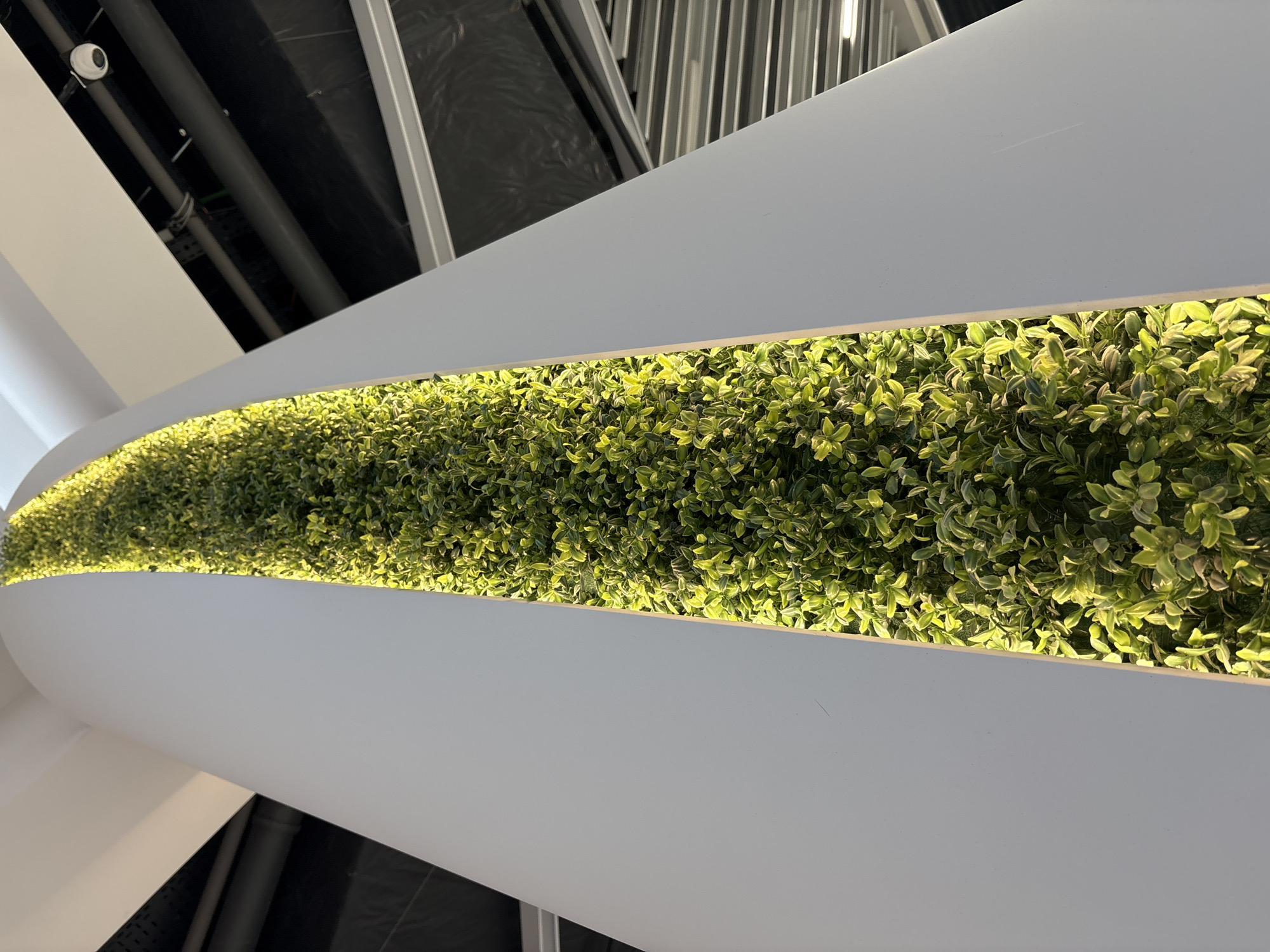 The image captures a close-up, angled view of a modern indoor architectural feature. A large, white, elongated structure, possibly a decorative planter or divider, dominates the foreground. This structure features a central, recessed channel filled with dense, vibrant green foliage. The plants have small, numerous leaves and are brightly illuminated from within the channel by hidden light sources, creating a glowing effect that highlights their texture and varying shades of green.
In the background, above the white structure, an industrial-style ceiling or upper wall area is visible. This area includes dark panels or insulation, exposed gray pipes, and metal framework, suggesting a commercial or public building setting. A small, white, spherical security camera is discreetly mounted in the upper left portion of the background. No people or specific activities are depicted, focusing instead on the contemporary design elements. The overall scene conveys a clean, modern aesthetic, integrating natural-looking greenery with functional building infrastructure in an indoor environment in Hatne, Ukraine. No visible text is present.