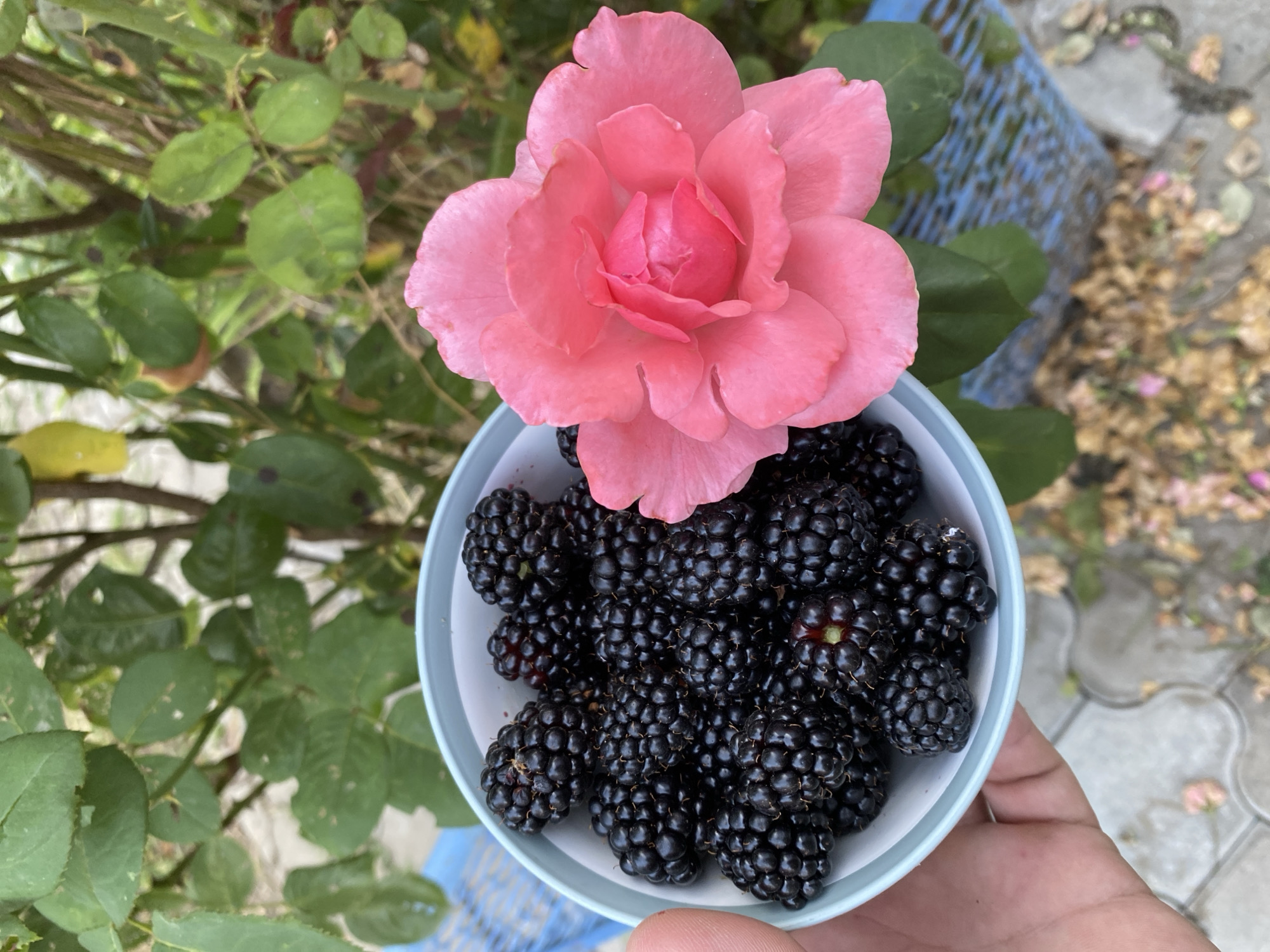 Memory