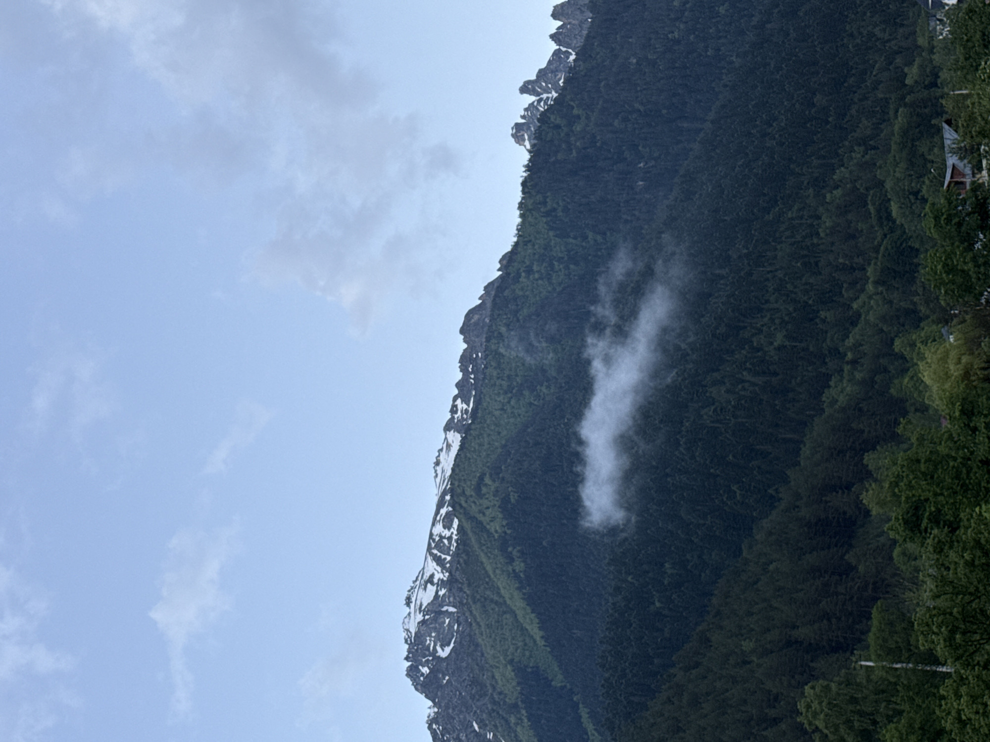 This is a vertical-oriented photograph of a dramatic mountain landscape in Teberda, Russia. The dominant subjects are the rugged, snow-dusted peaks of a mountain range that occupies the right two-thirds of the frame. The mountains are densely covered with dark green coniferous trees, creating a textured, almost monochromatic effect in the foliage. Patches of snow cling to the higher elevations and along sharp, rocky ridges.
A thin wisp of white cloud hovers mid-air against the dark mountainside, adding a touch of ethereal softness to the otherwise stark scene. The sky, visible on the left, is a pale, overcast blue, with scattered, soft clouds. The overall mood is one of natural grandeur and perhaps a touch of isolation.
In the far upper right corner, a hint of human habitation is visible: a small, reddish-brown roof of a building, possibly a cabin or part of a larger structure, peeks through the trees, suggesting a settlement or a remote dwelling nestled within the vastness of nature. The lighting suggests it is daytime, possibly late afternoon or early morning given the diffused light and overcast conditions. There is no visible text in the image.
