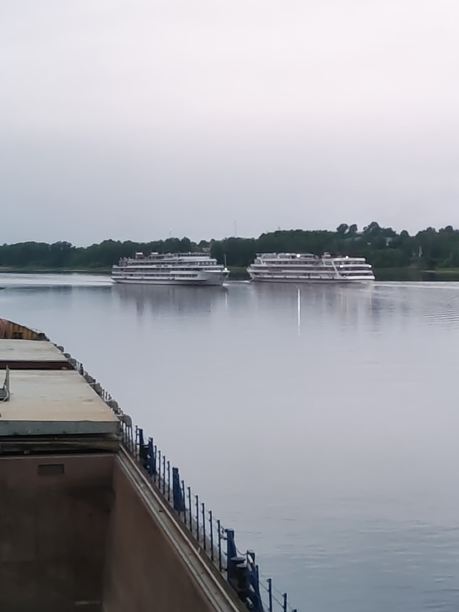 Two large cruise ships are traversing a wide, calm river under an overcast sky. The ships are multi-decked and white. The river reflects the gray sky. A section of a ship, including a railing, is in the foreground, suggesting the photo was taken from another vessel. Lush green trees line the riverbanks in the distance. The location is in the city of Bol'shie Mkhi, Russia.