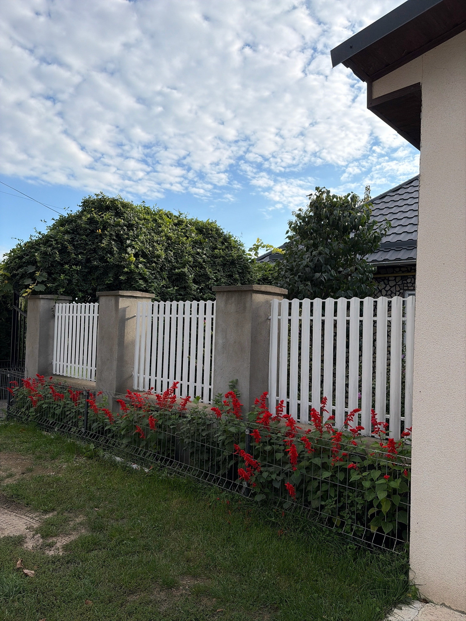 The image shows a white picket fence with concrete posts, adorned with red salvia flowers. Behind the fence, a dense green bush is visible. The scene is set against a bright sky with scattered clouds. The presence of a house with a tiled roof and a light-colored exterior wall suggests a residential area. The surrounding environment appears to be a garden or yard.