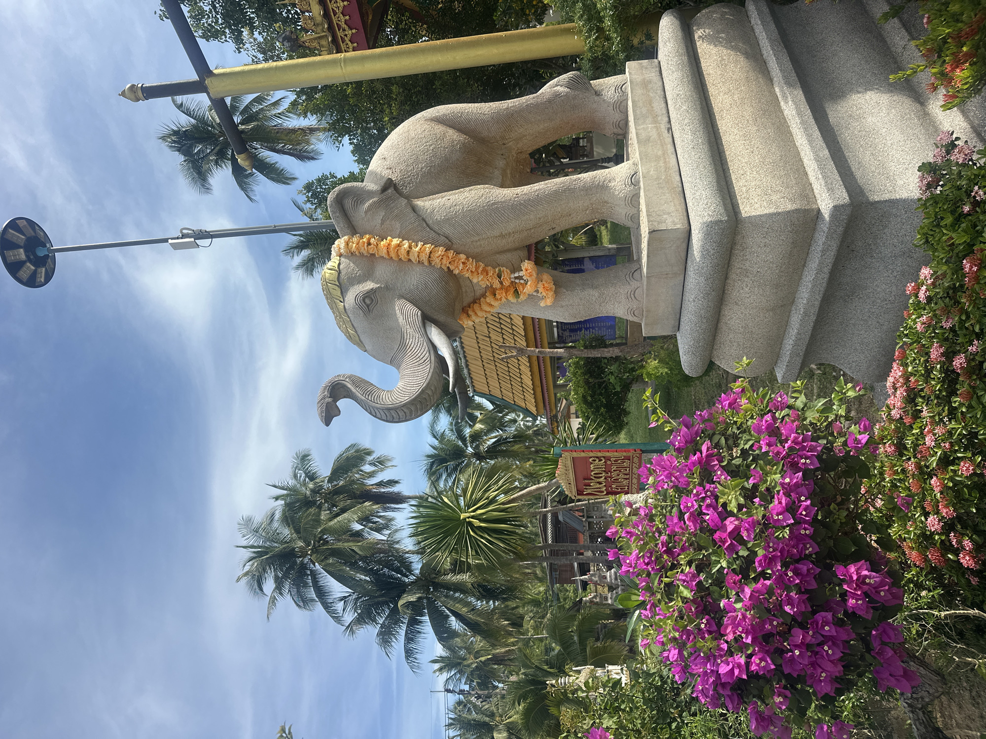 The image depicts an outdoor scene in the Ko Samui District, Thailand. The focal point is a stone statue of an elephant adorned with a garland of orange flowers. The elephant statue stands on a multi-tiered stone pedestal. In the foreground, a large bush of vibrant purple bougainvillea flowers is prominent. To the left of the elephant statue, a red sign with white text reads "Welcome" in English, followed by Thai script. Behind the elephant, a tall lamppost with a solar panel is visible. The background features lush tropical vegetation, including numerous palm trees and other greenery, beneath a bright blue sky with scattered white clouds. Several buildings with distinctive roofs, possibly part of a temple or cultural site, are partially visible amongst the trees. The overall environment suggests a warm, sunny day in a tropical location.