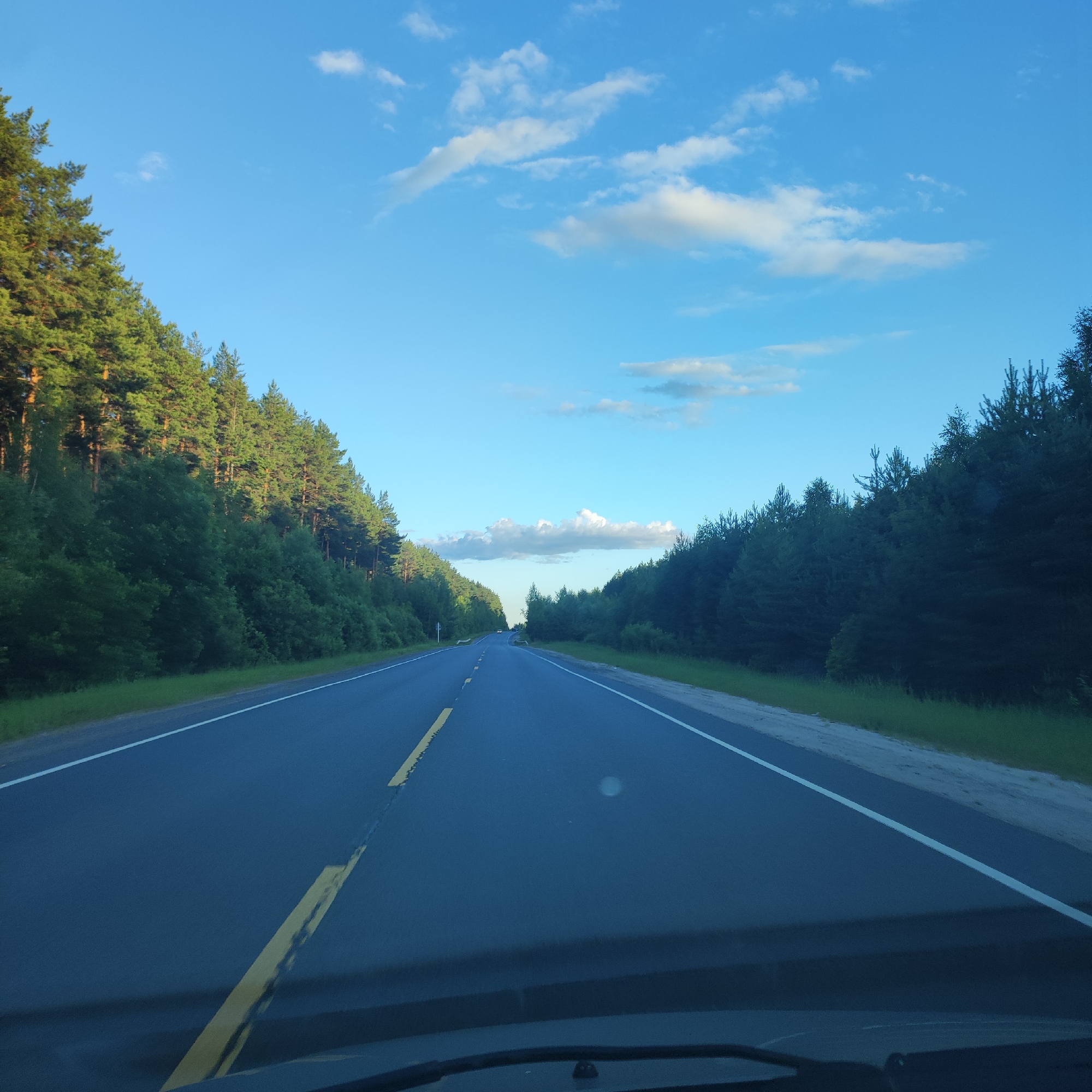 The image depicts a paved road with a yellow line dividing the lanes, winding through a forest on a clear day. Tall green trees line both sides of the road, with the sun casting shadows. The sky is a vibrant blue, dotted with scattered white clouds. The perspective is from within a vehicle, suggesting a journey. The exact location in Kineshma, Russia, cannot be determined from the image alone.